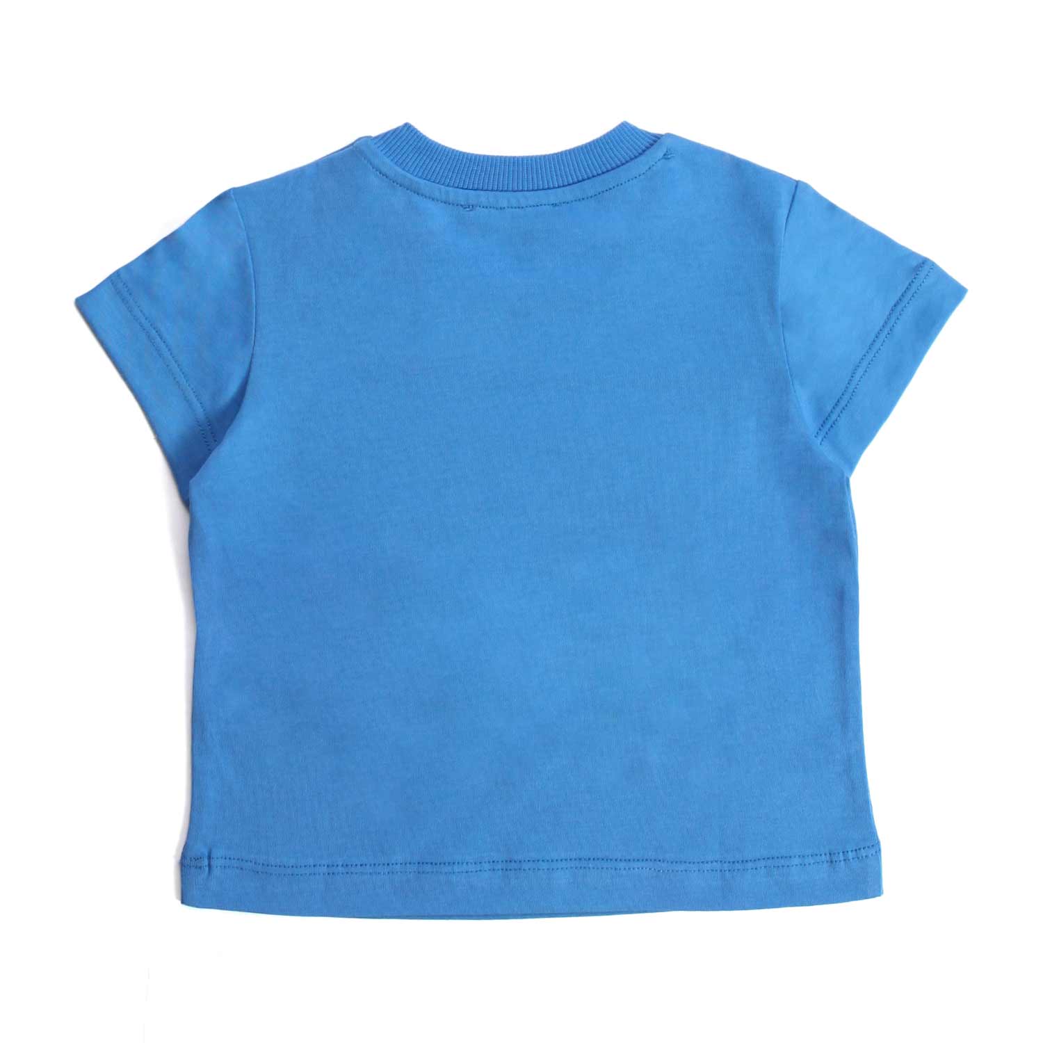 T-SHIRT CELESTE ORSETTO BABY - annameglio.com abbigliamento moda