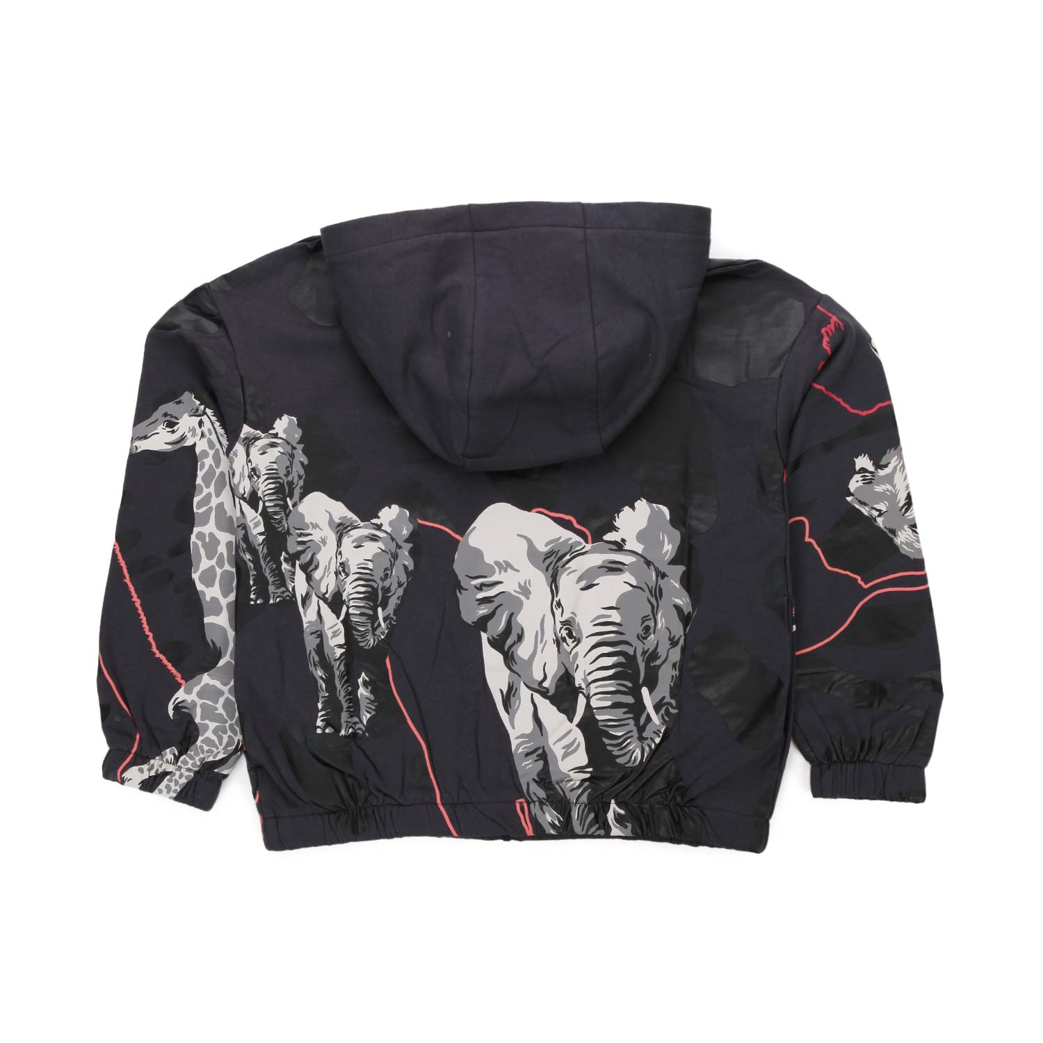 FELPA TIGRE CON ZIP BAMBINO TEEN - annameglio.com abbigliamento moda