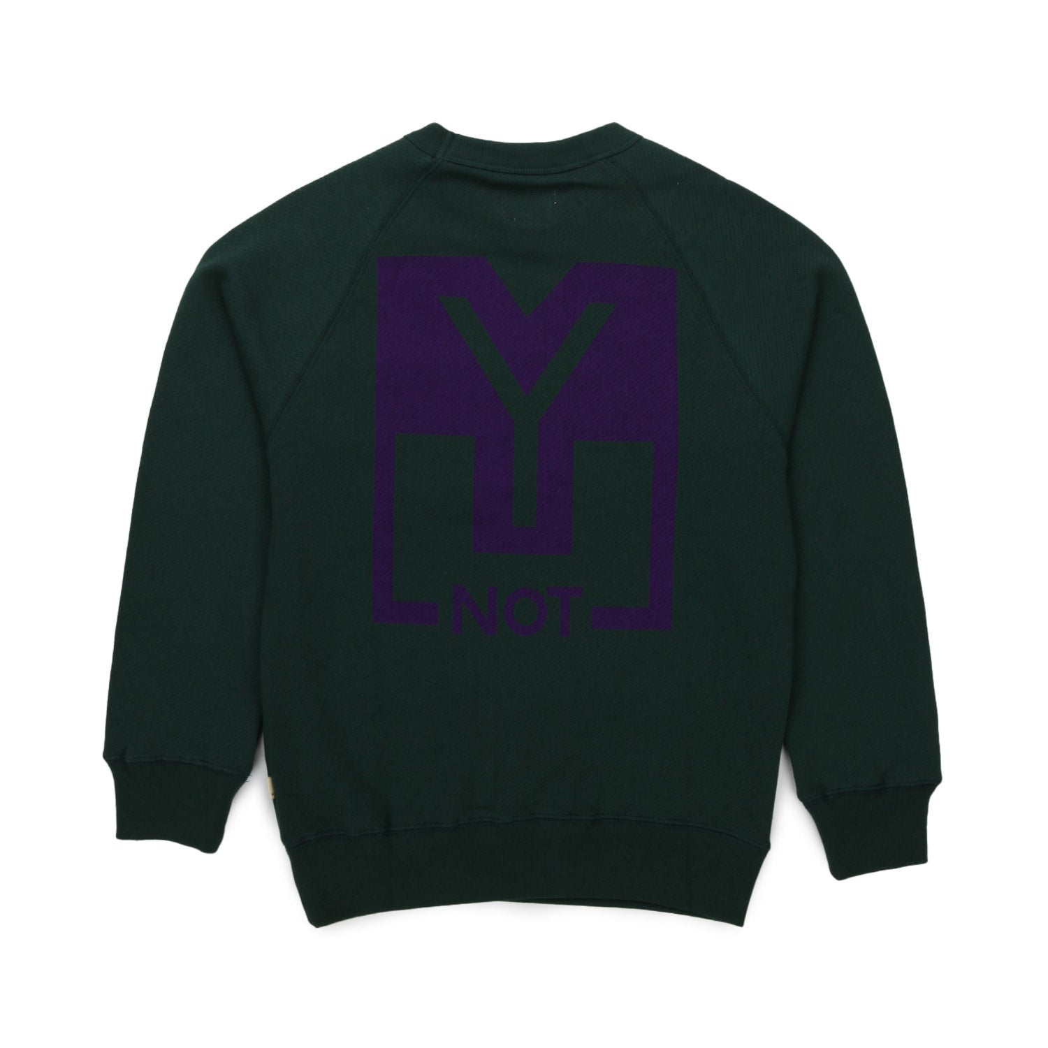 FELPA VERDE E VIOLA BAMBINO E TEENAGER - annameglio.com abbigliamento moda