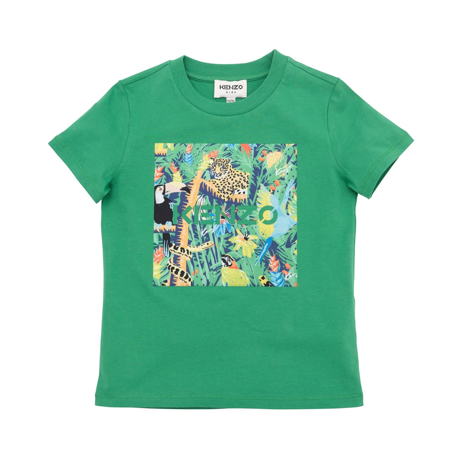 T-SHIRT VERDE CON STAMPA MULTICOLOR BAMBINO E TEEN - annameglio.com abbigliamento moda