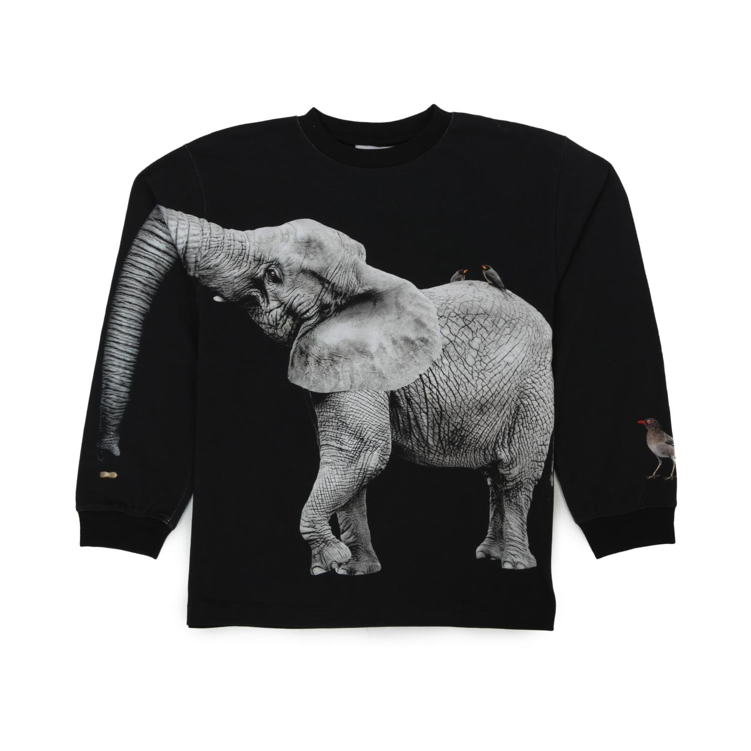 FELPA RUBE ELEPHANT NERA BAMBINO E TEEN - annameglio.com abbigliamento moda