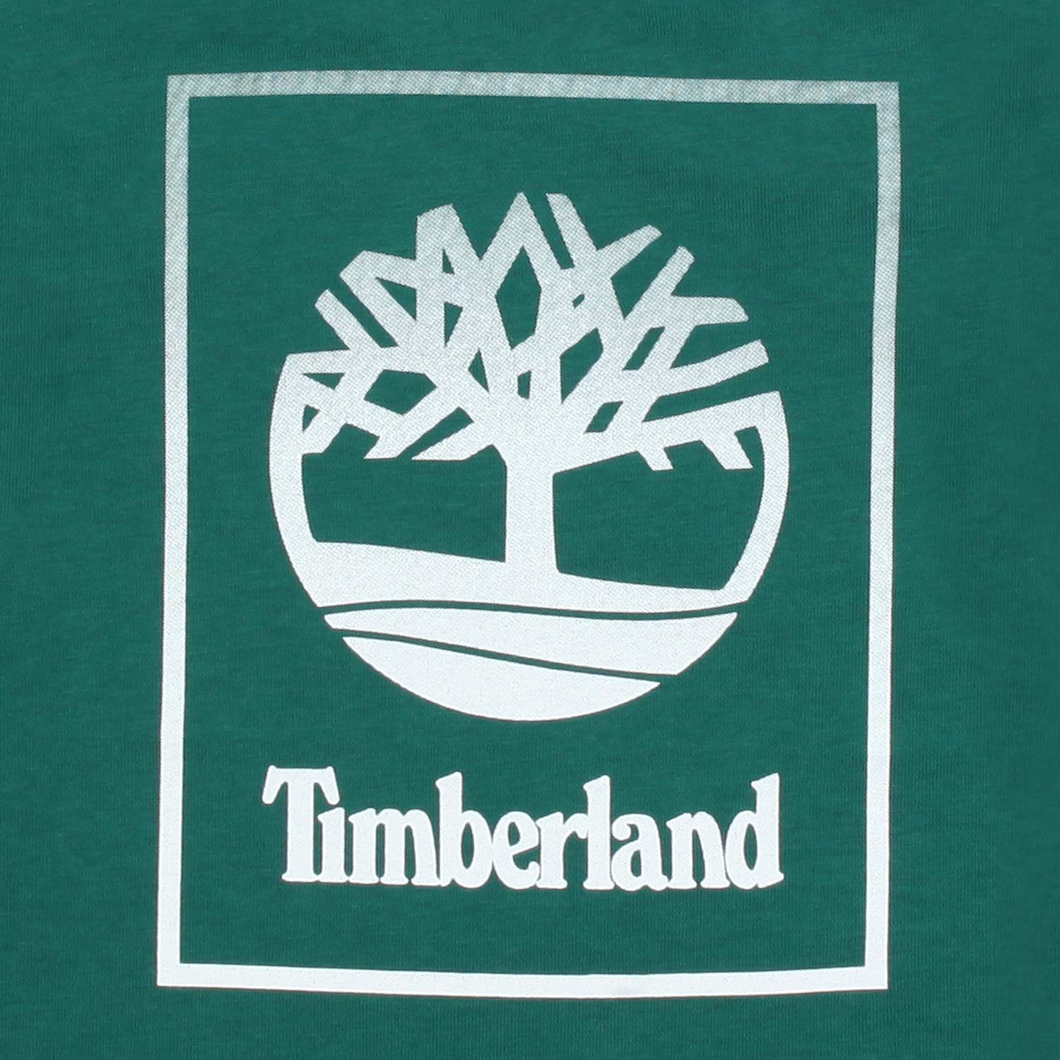 T-SHIRT MANICA LUNGA VERDE CON LOGO SFUMATO - annameglio.com abbigliamento moda