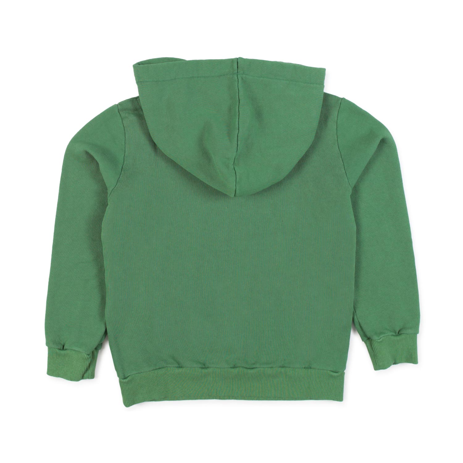 FELPA TADDEO VERDE BAMBINO E TEENAGER - annameglio.com abbigliamento moda