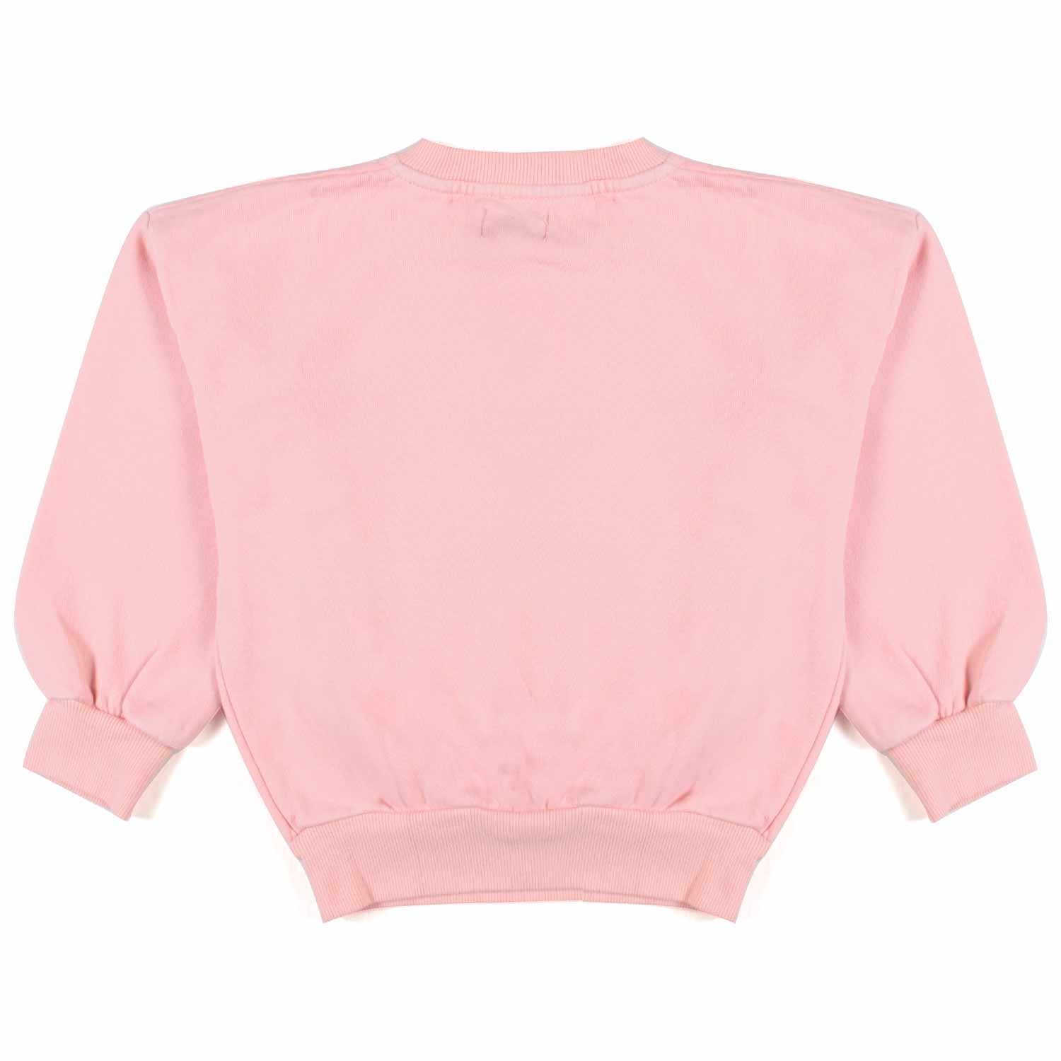 FELPA ROSA CON STAMPA BLU BAMBINA - annameglio.com abbigliamento moda