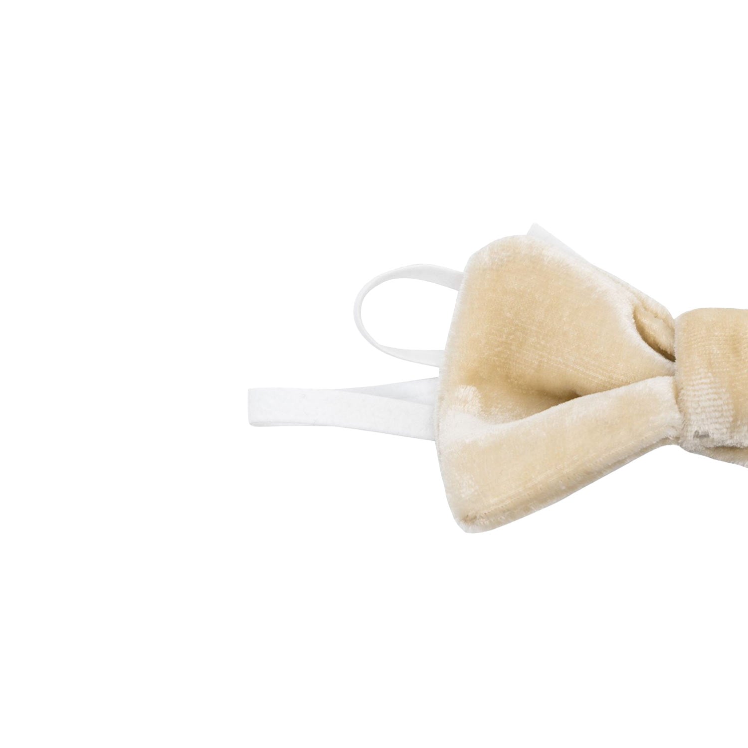 papillon marrone bambino - annameglio.com abbigliamento moda