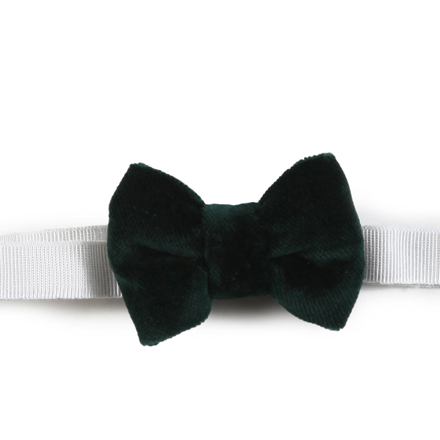 Papillon Colibri di velluto verde scuro Bimbo - annameglio.com abbigliamento moda