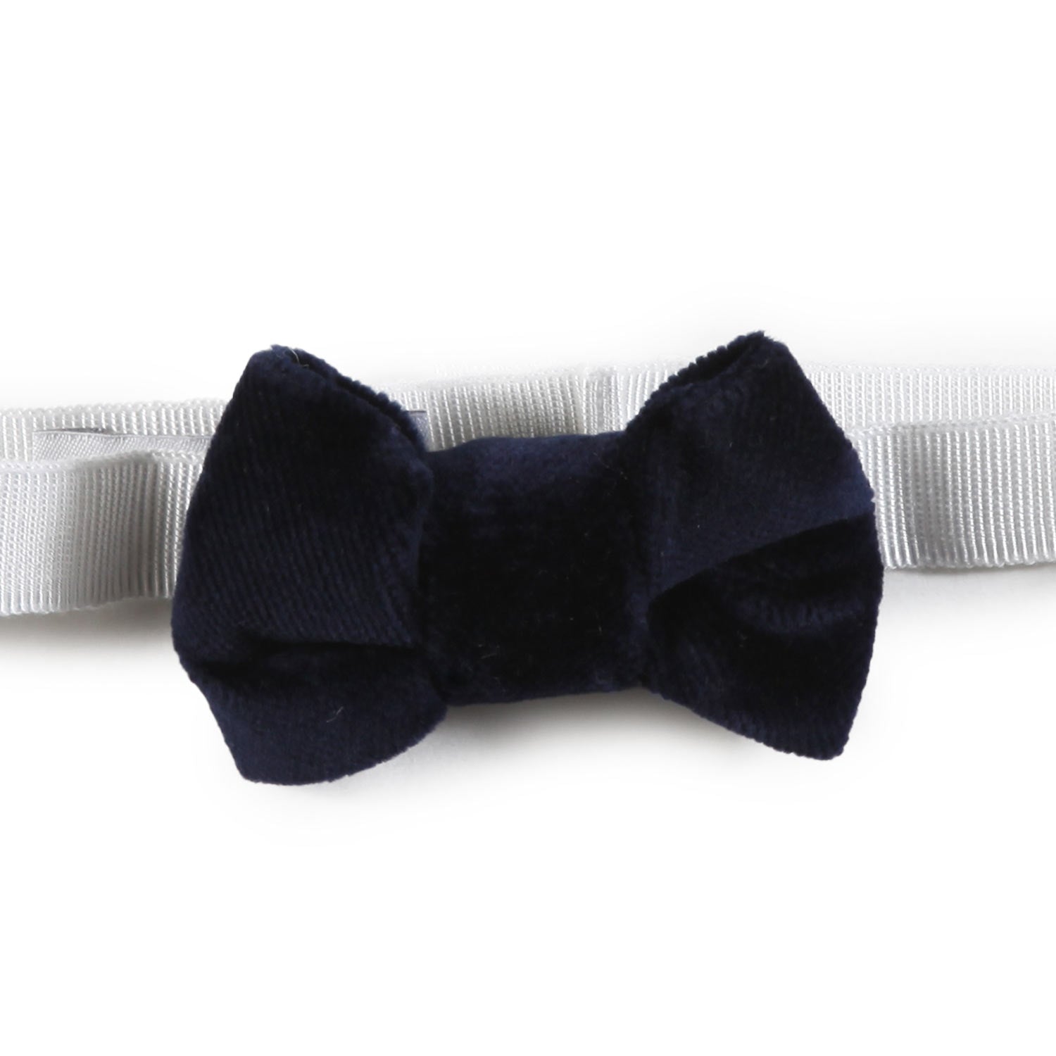 Papillon Colibri di velluto blu navy Bimbo - annameglio.com abbigliamento moda