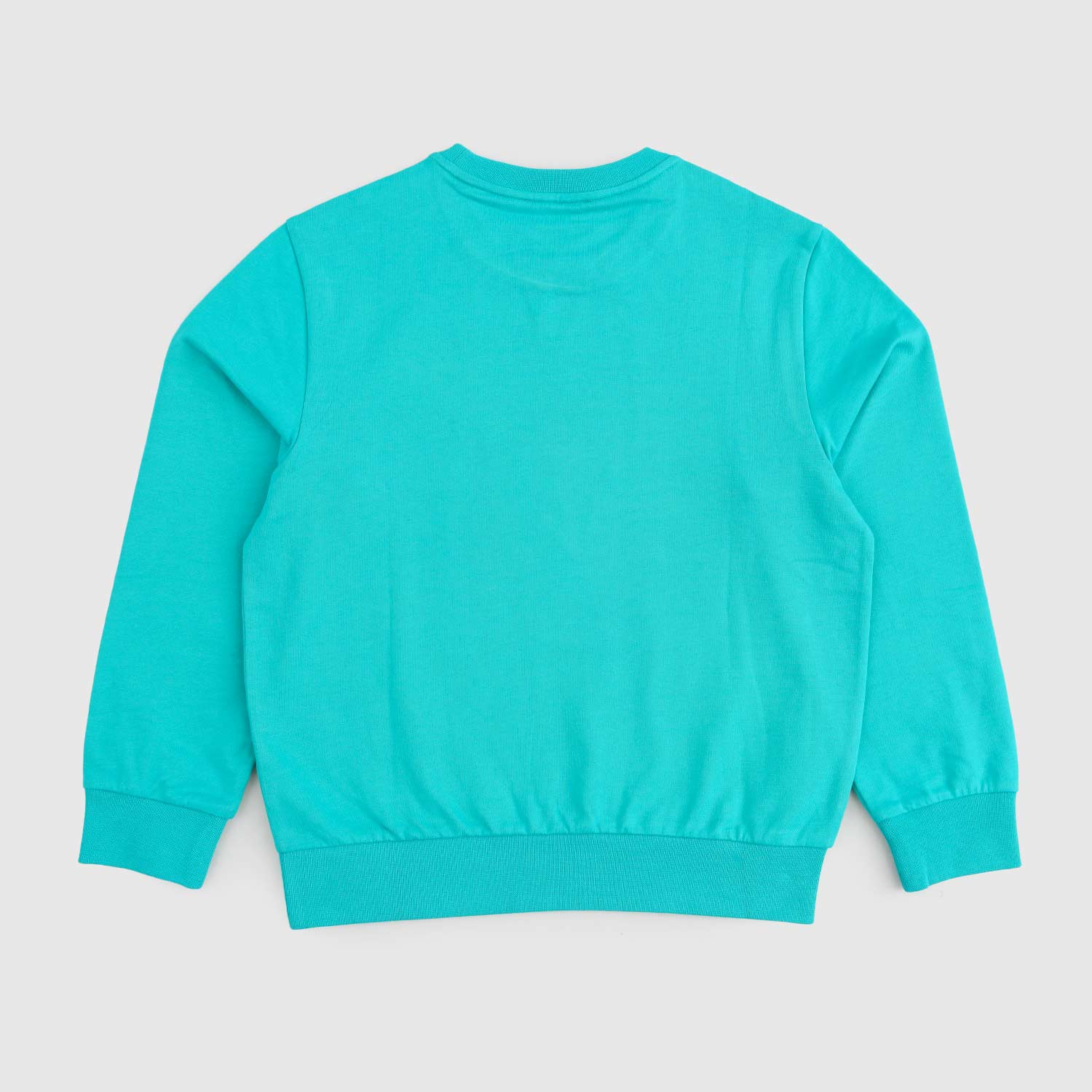 felpa turchese ragazzo - annameglio.com abbigliamento moda