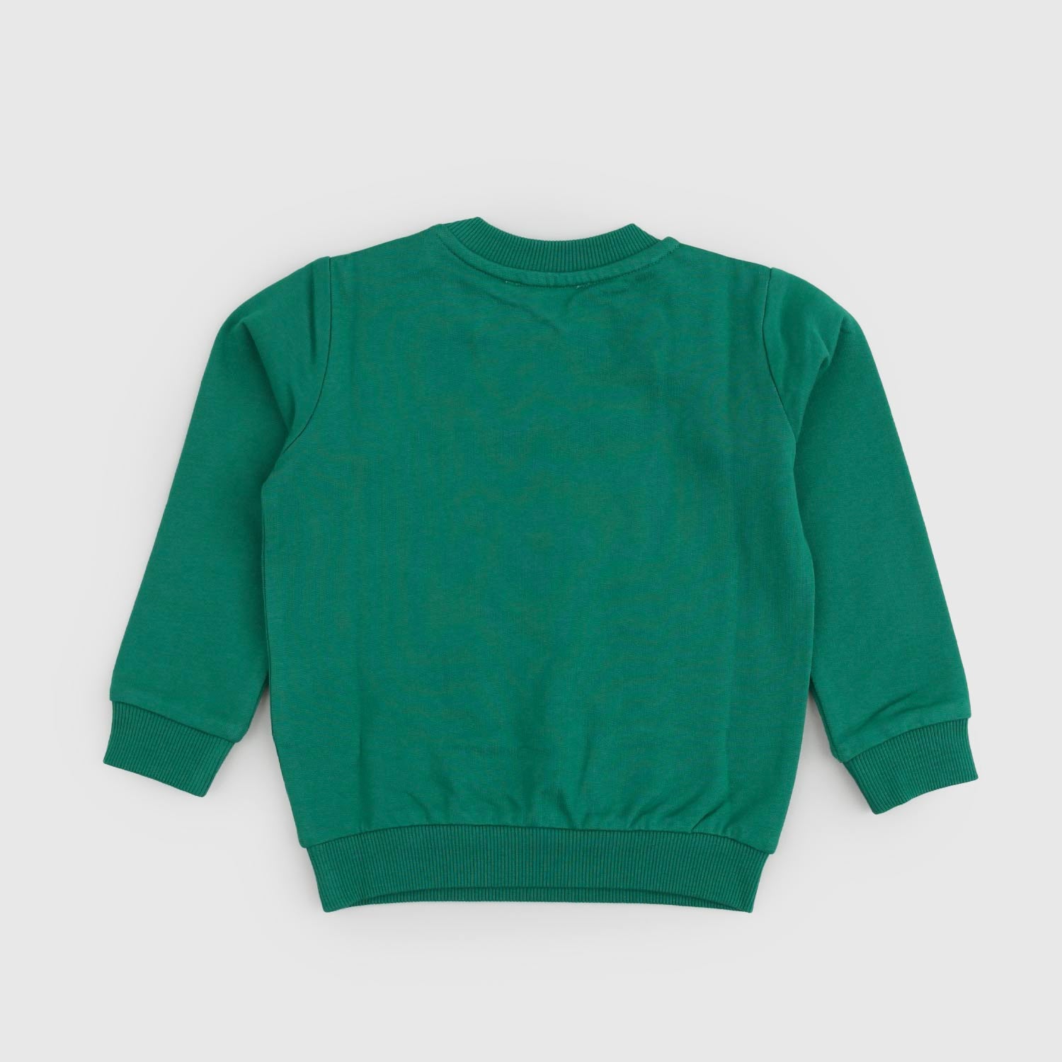 Felpa verde per neonato con stampa teddy - annameglio.com abbigliamento moda