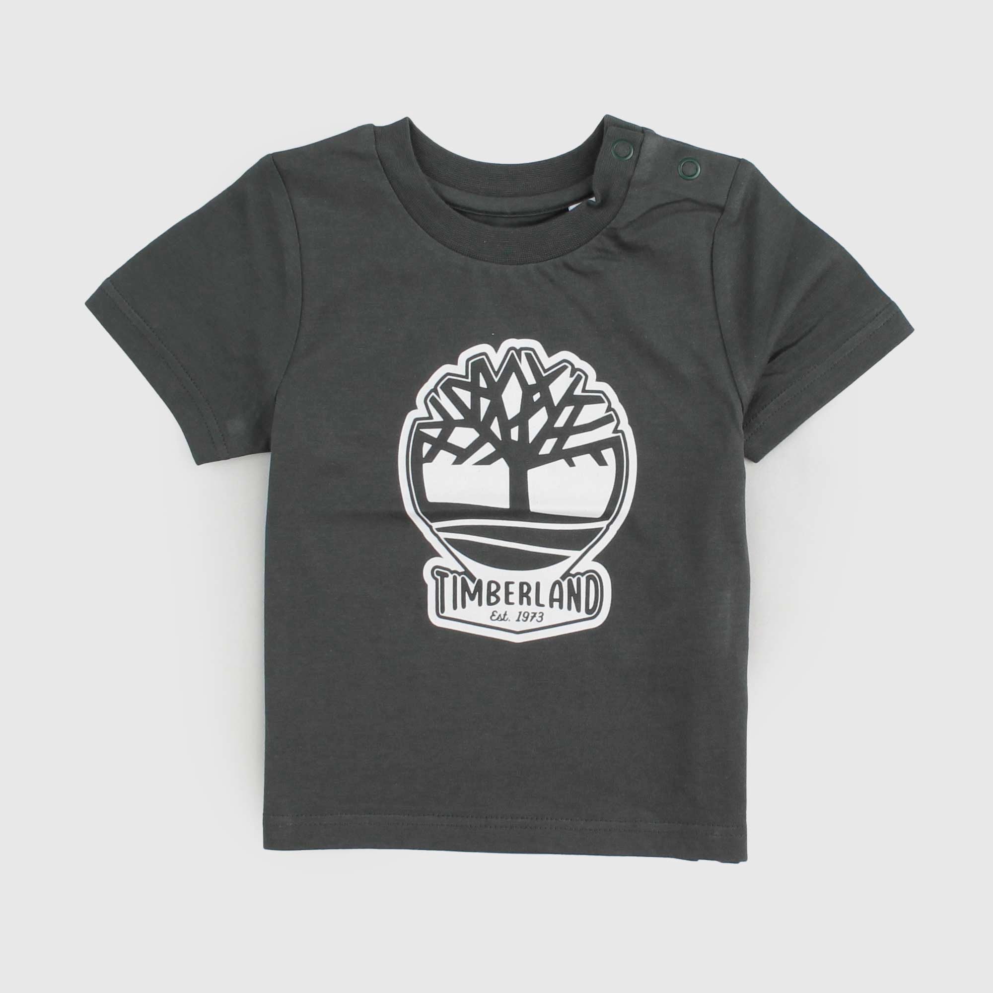 T-shirt Verde Con Logo Firmata TIMBERLAND - annameglio.com abbigliamento moda