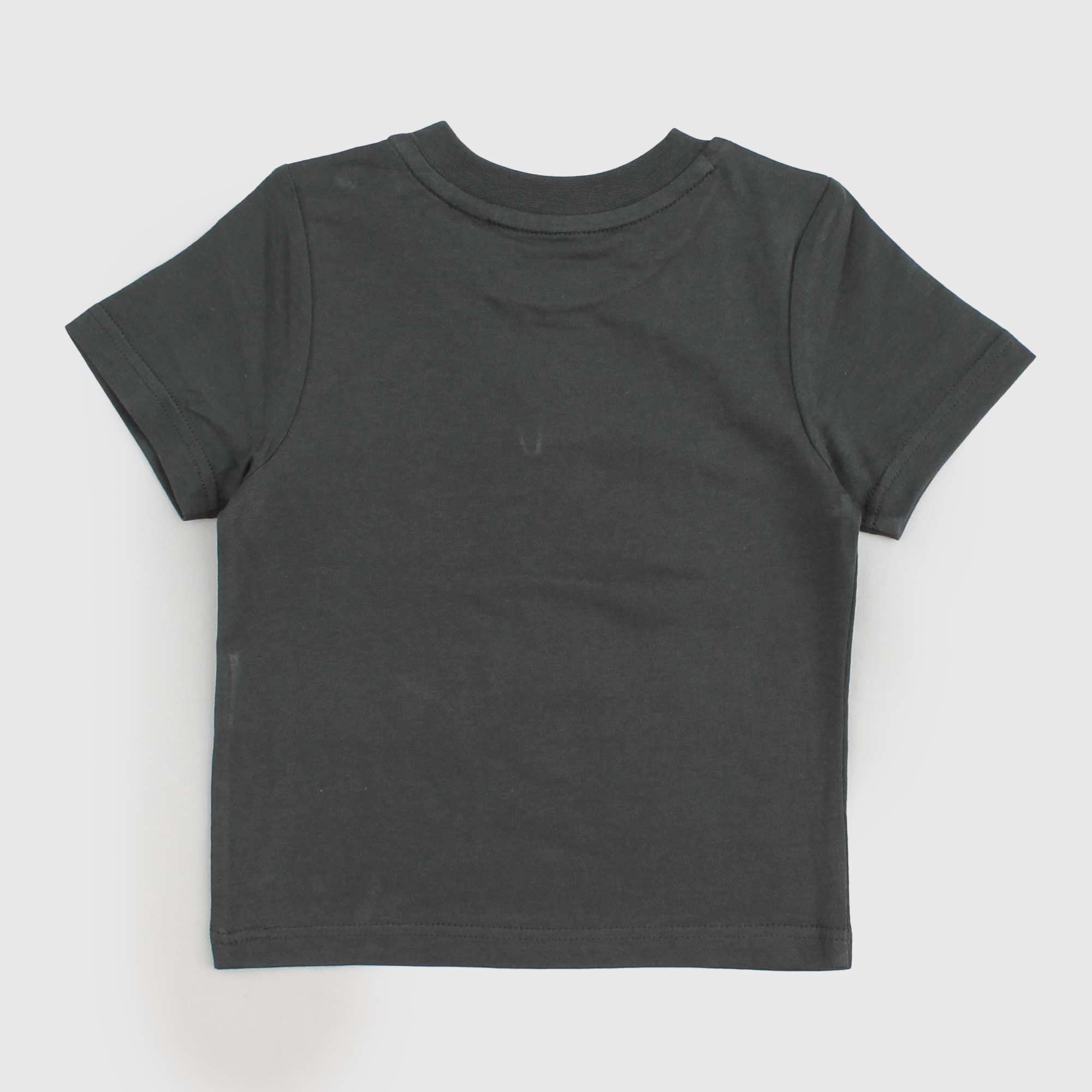 T-shirt Verde Con Logo Firmata TIMBERLAND - annameglio.com abbigliamento moda