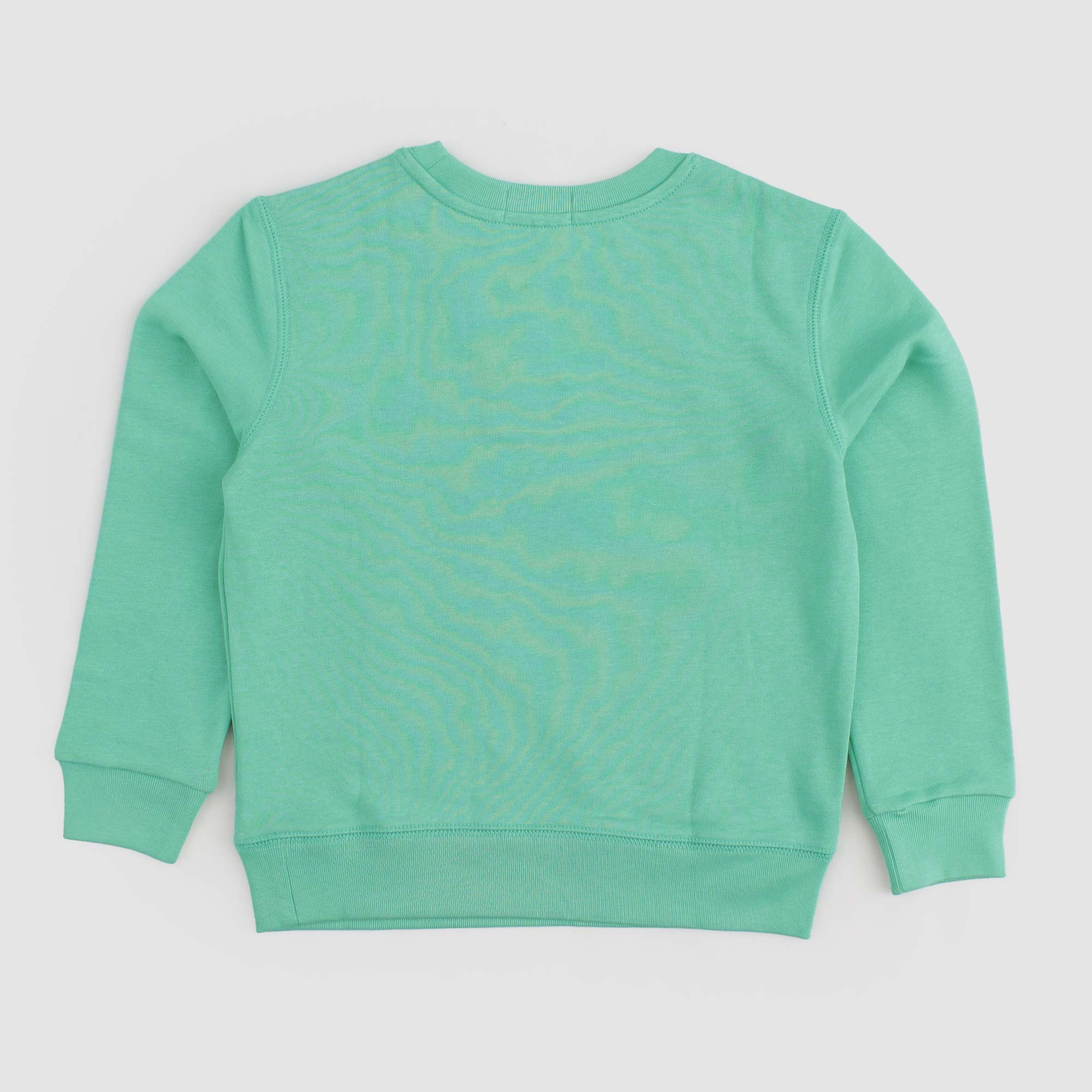 Felpa Verde Chiaro Firmata RALPH LAUREN - annameglio.com abbigliamento moda