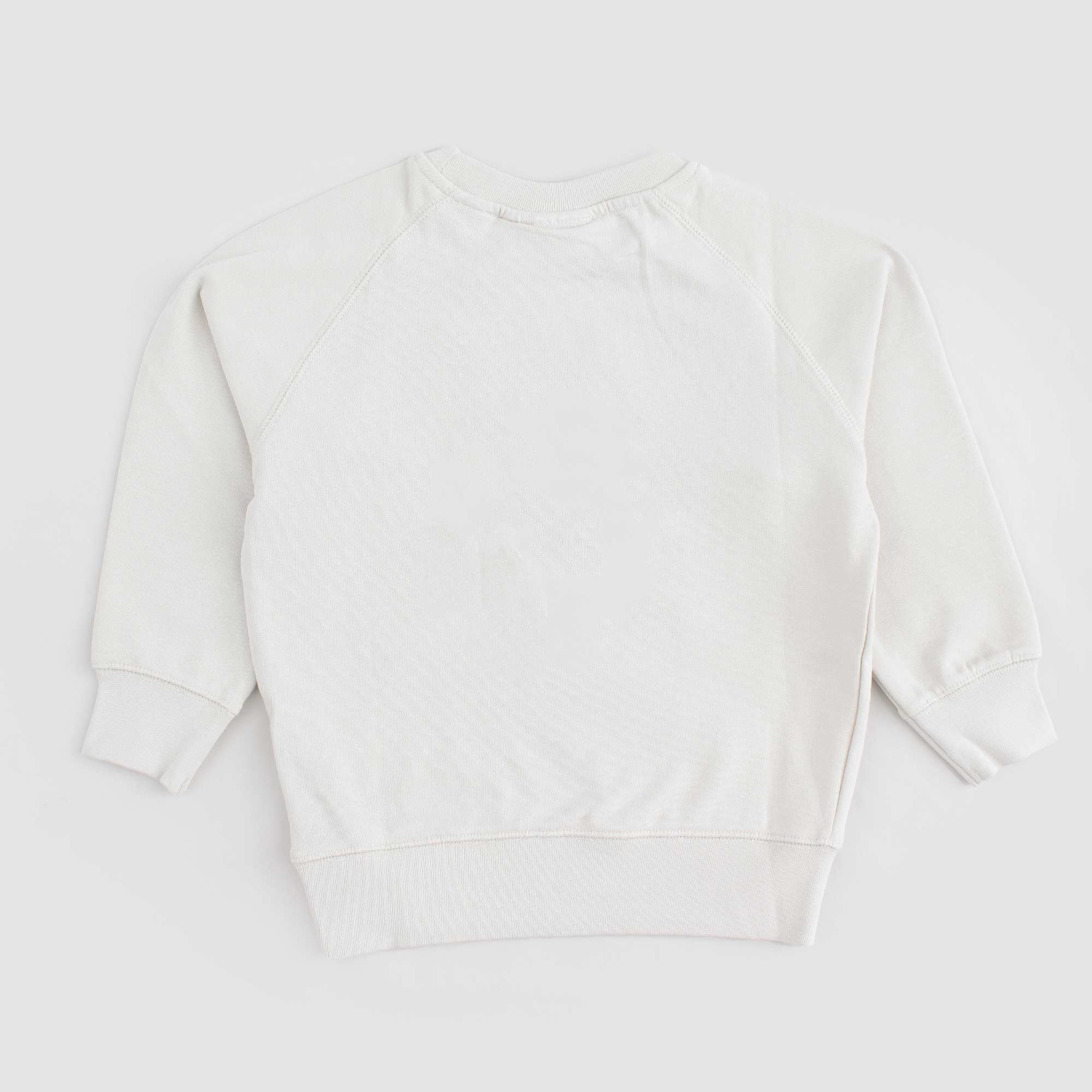 Felpa Ghiaccio Firmata MOLO - annameglio.com abbigliamento moda