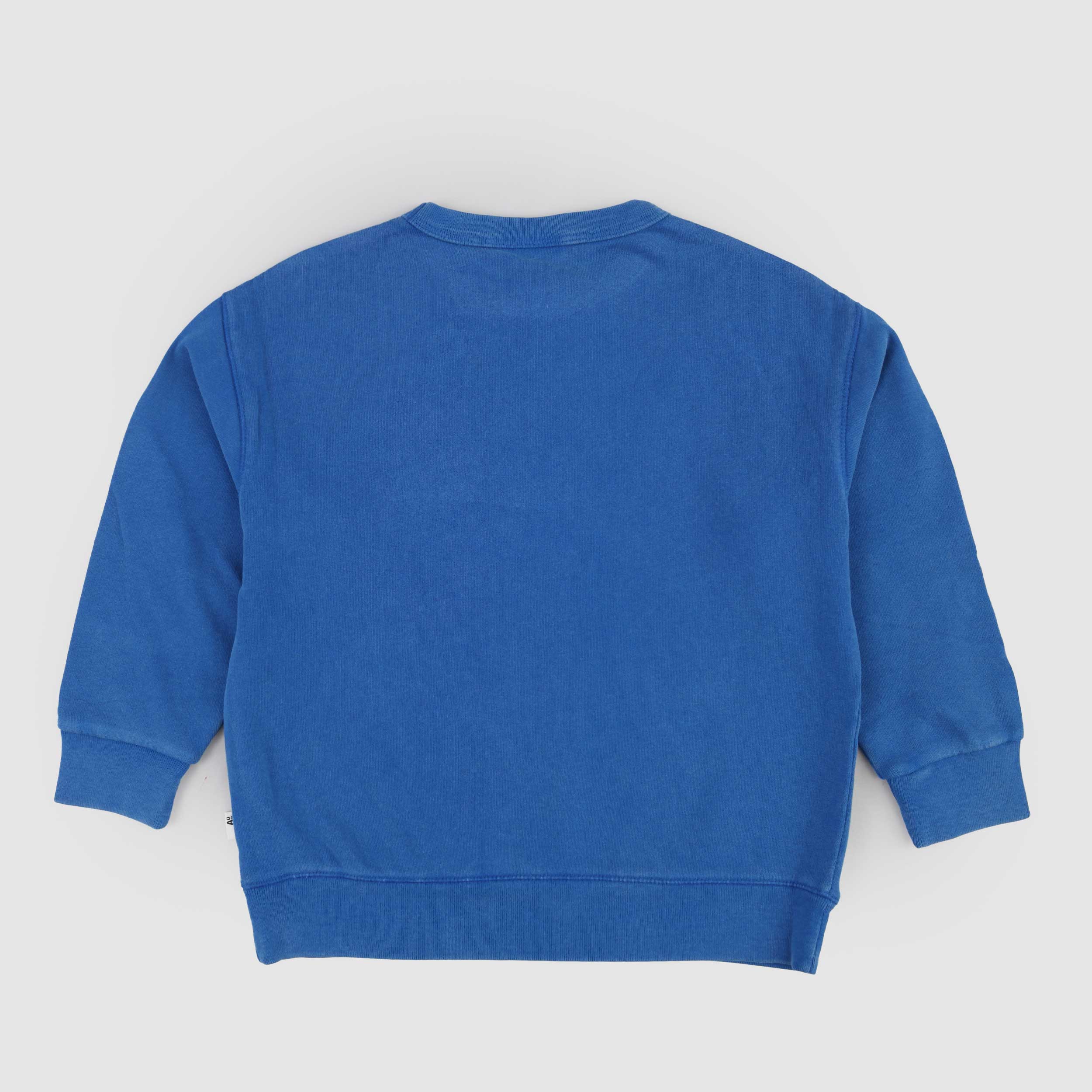 Felpa Azzurra con Stampa Iconica Firmata AMERICAN OUTFITTERS