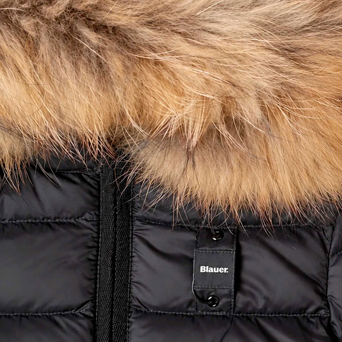 Piumino Nero Arcadia Junior per Ragazza BLAUER