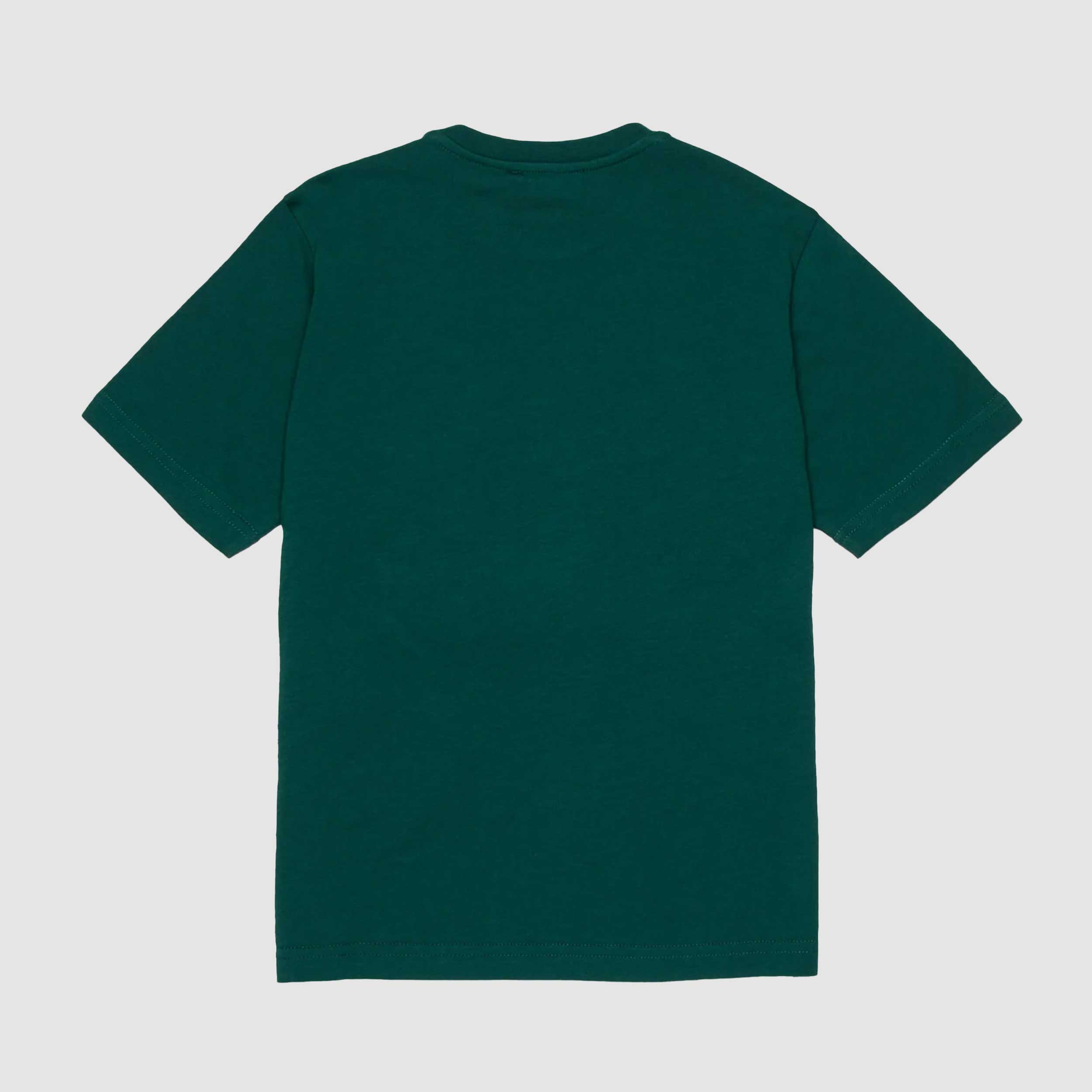 T-shirt Verde Con Stampa E Logo Firmata DSQUARED2