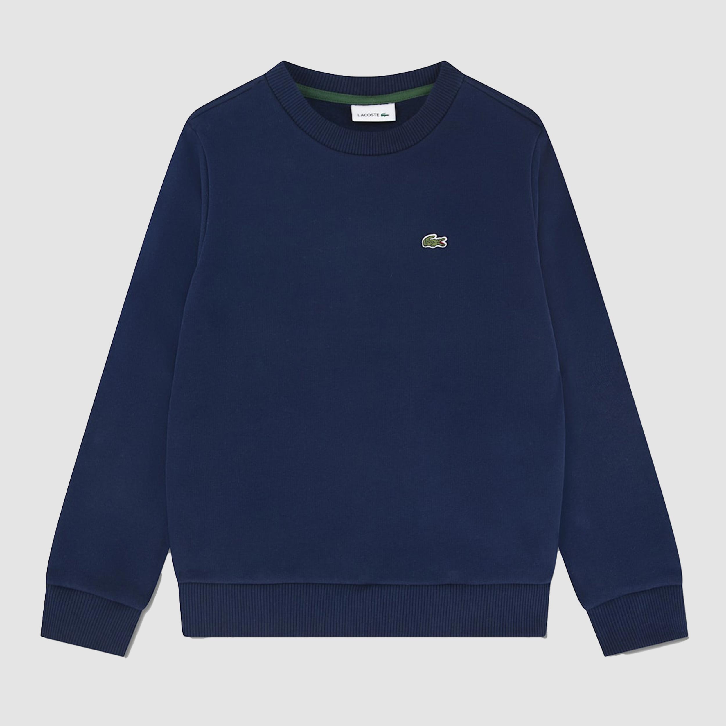 Blue Sweatshirt with Small Iconic Logo for Baby by LACOSTE
