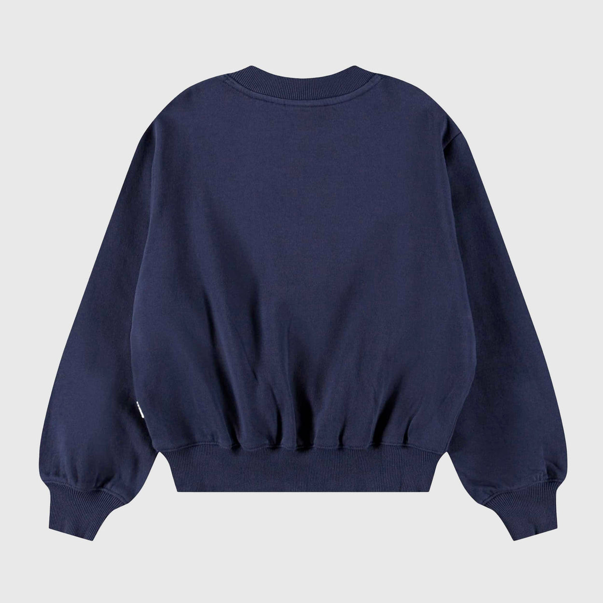 Blue Floral Embroidery Sweatshirt for Girl by MOLO