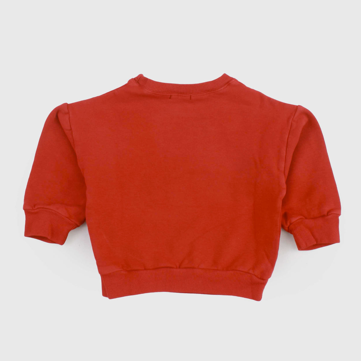 Red Sweatshirt at the Coast for Newborns by ONE MORE IN THE FAMILY