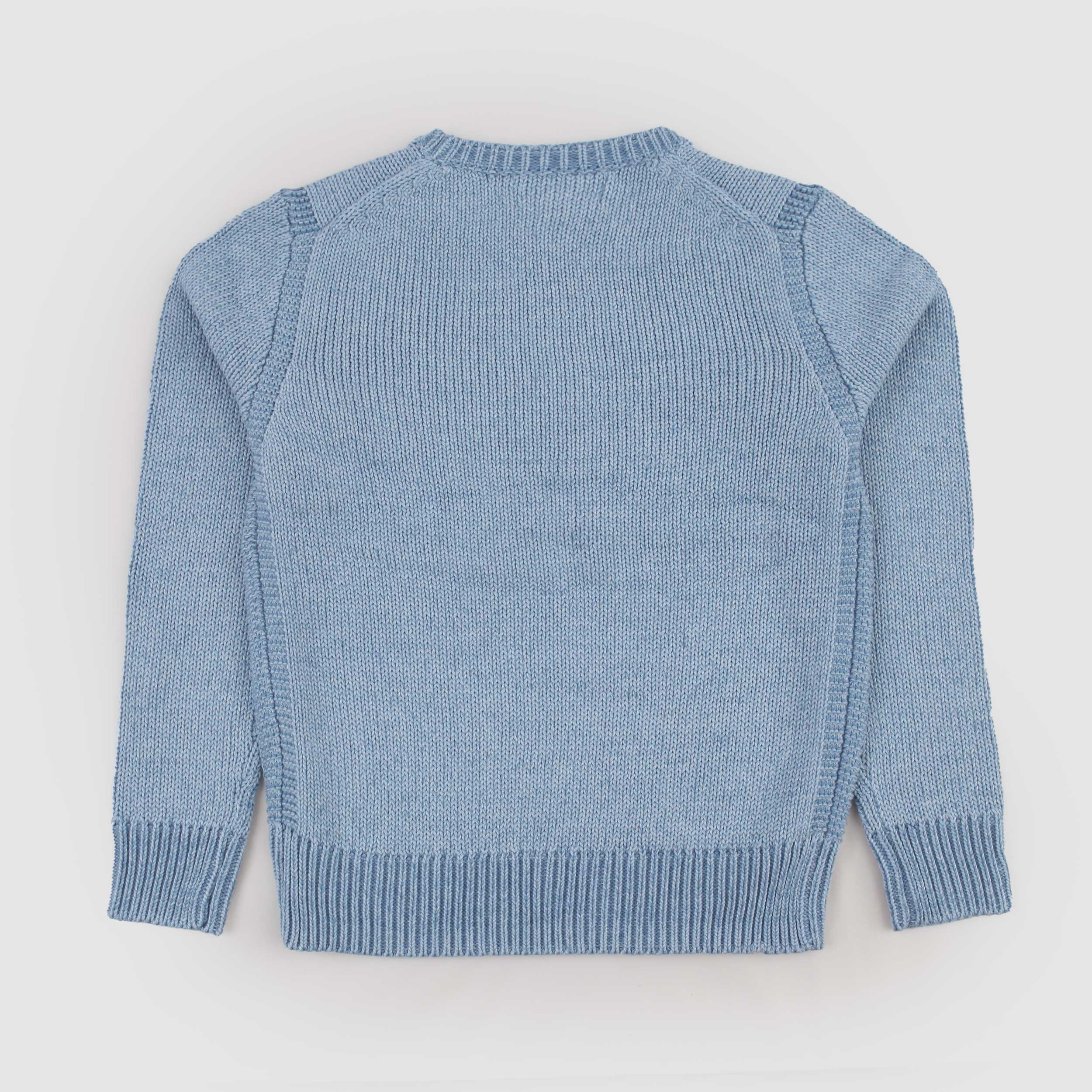 Maglia Celeste con Stampa Bandiera Firmata RALPH LAUREN