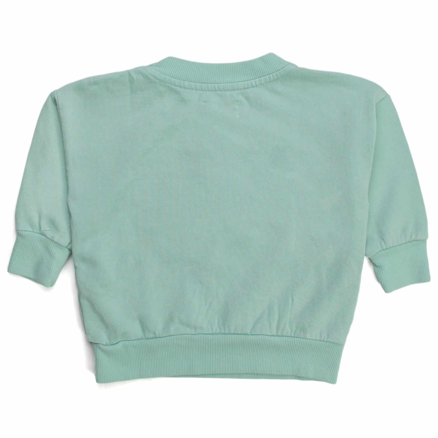 FELPA UNISEX BABY VERDE ACQUA - annameglio.com abbigliamento moda