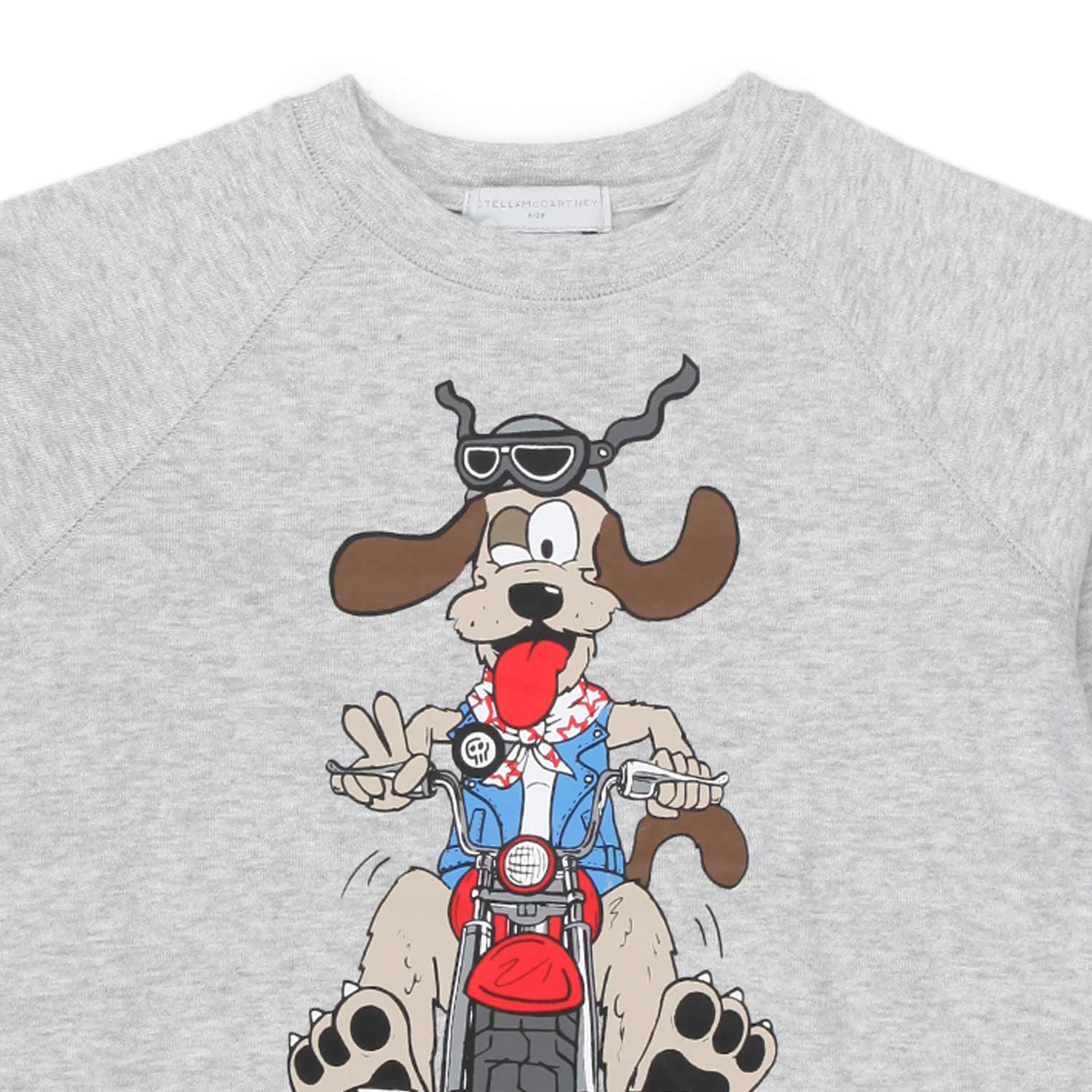 FELPA DOGGIE RIDER GRIGIA BAMBINO - annameglio.com abbigliamento moda