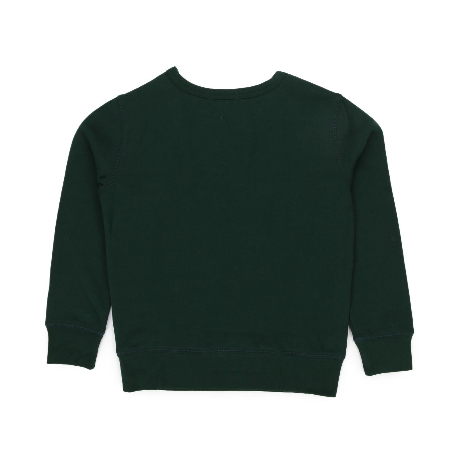 FELPA POLO BEAR VERDE BAMBINO E TEENAGER - annameglio.com abbigliamento moda