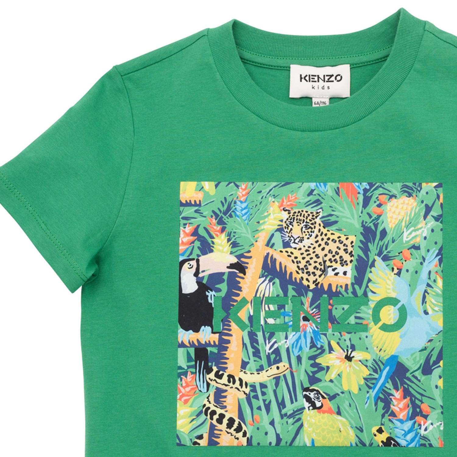 T-SHIRT VERDE CON STAMPA MULTICOLOR BAMBINO E TEEN - annameglio.com abbigliamento moda