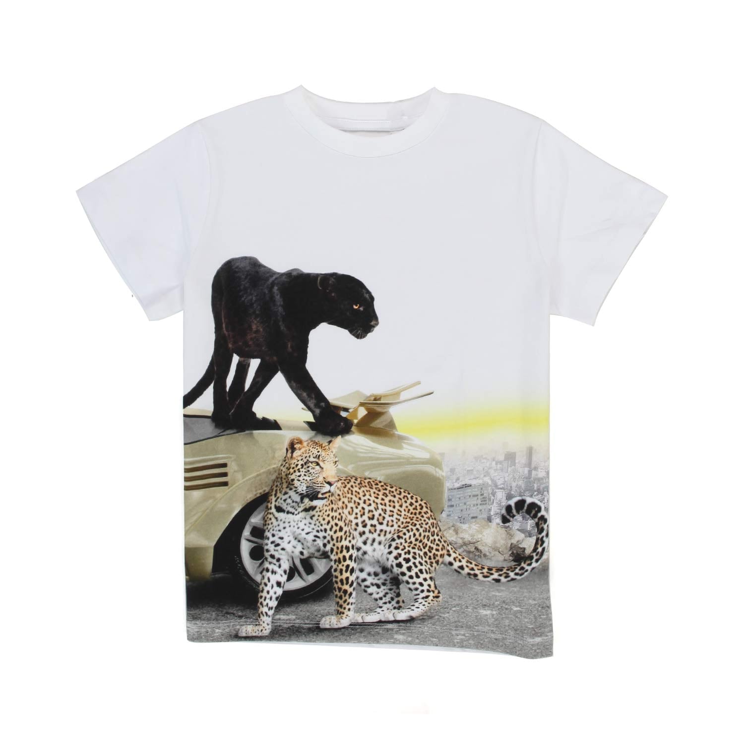 T-SHIRT UNISEX ROAD WILD CITY JR E TEEN - annameglio.com abbigliamento moda