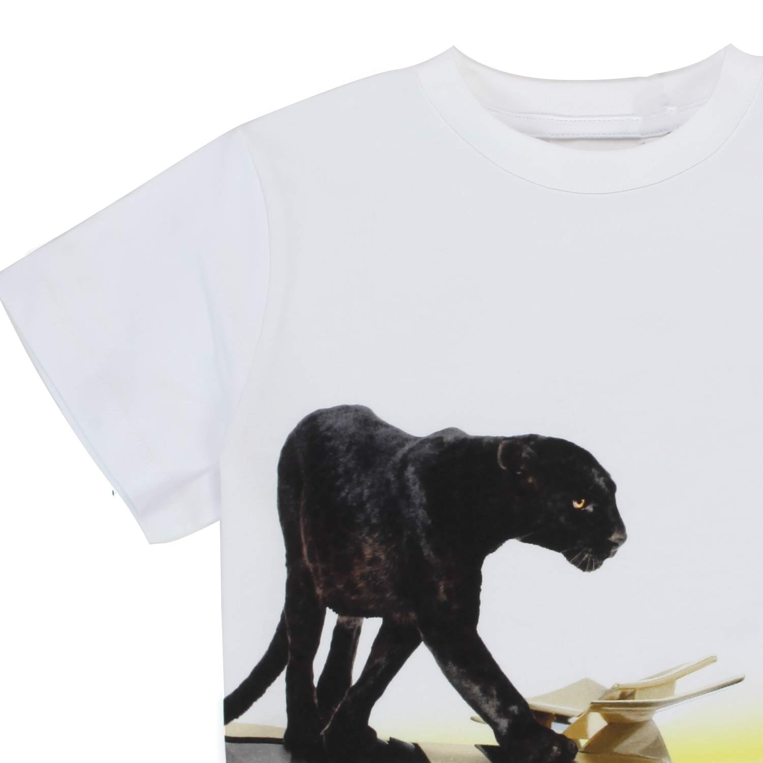T-SHIRT UNISEX ROAD WILD CITY JR E TEEN - annameglio.com abbigliamento moda