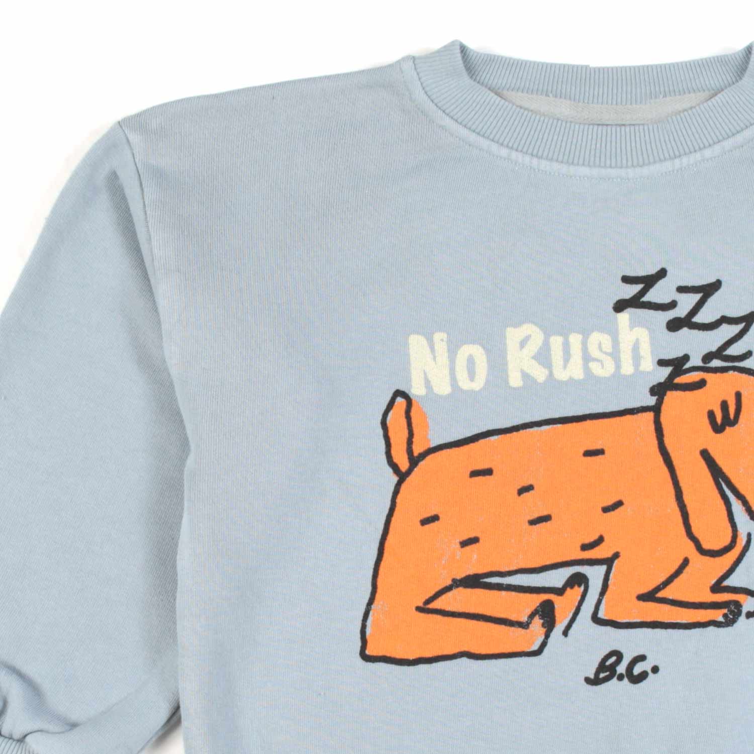 FELPA UNISEX CELESTE CON STAMPA CAGNOLINO - annameglio.com abbigliamento moda