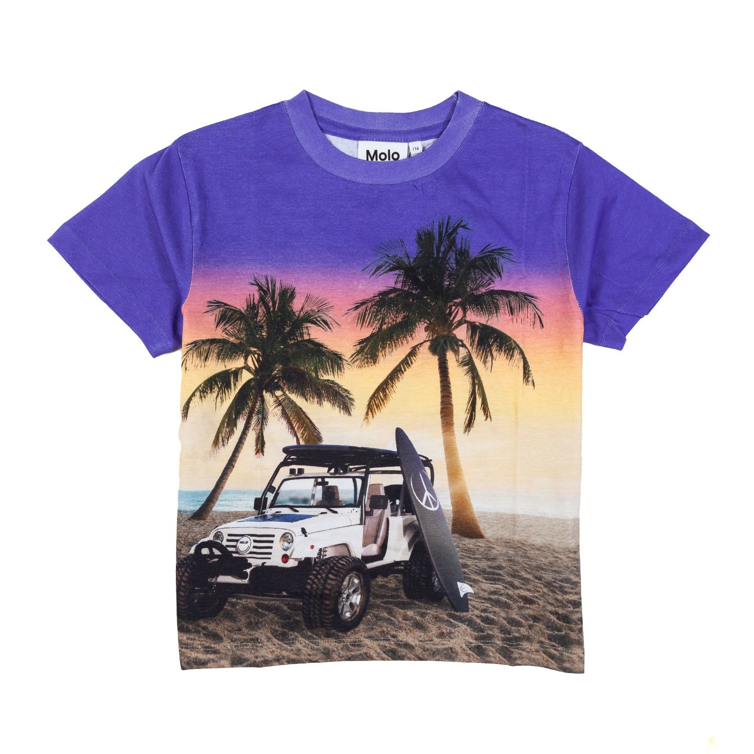 T-SHIRT UNISEX EVENING BEACH VIOLA - annameglio.com abbigliamento moda