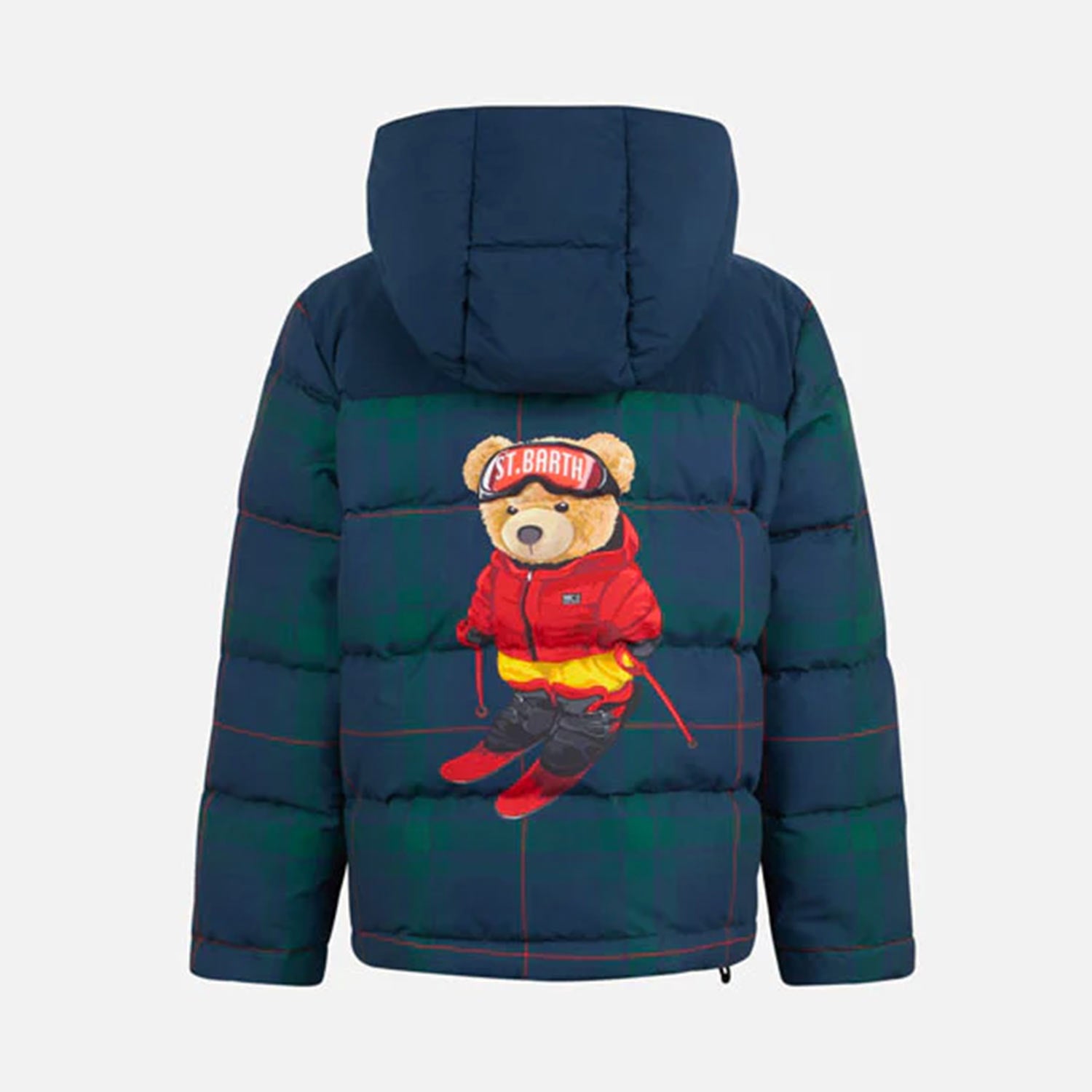 Piumino Baxter Bear blu e verde tartan Bambino - annameglio.com abbigliamento moda