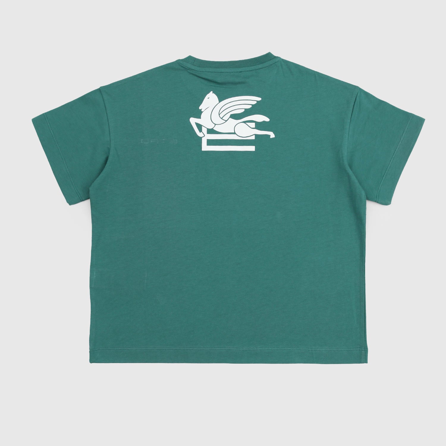 maglia verde ragazzo pegaso - annameglio.com abbigliamento moda