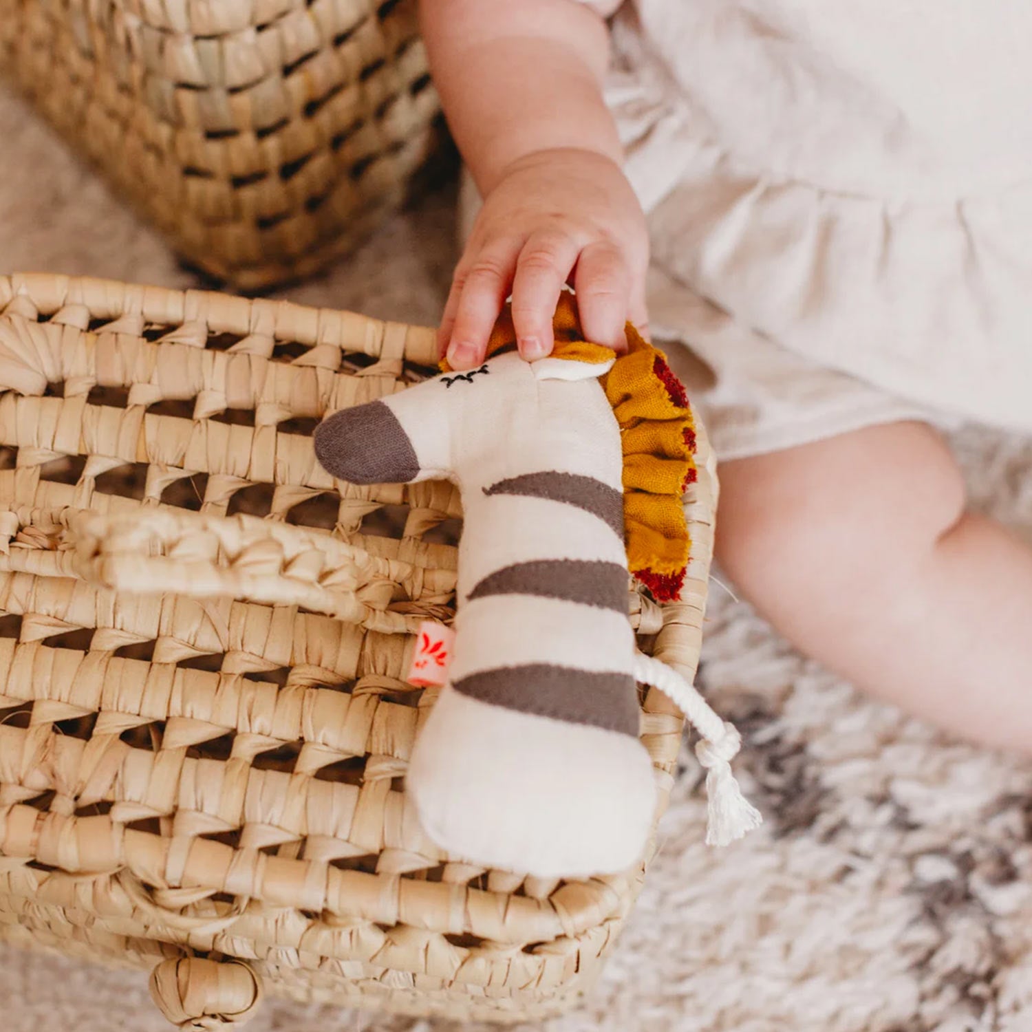 Zebra stridula bambina - annameglio.com abbigliamento moda