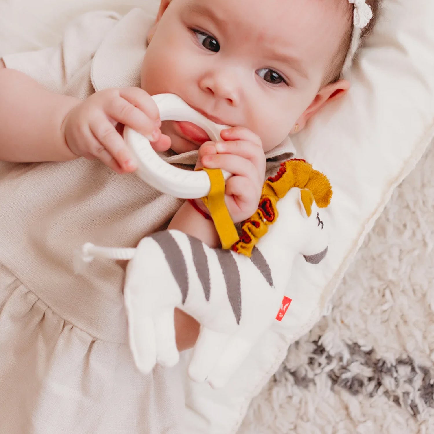 Massaggiagengive con zebra - annameglio.com abbigliamento moda