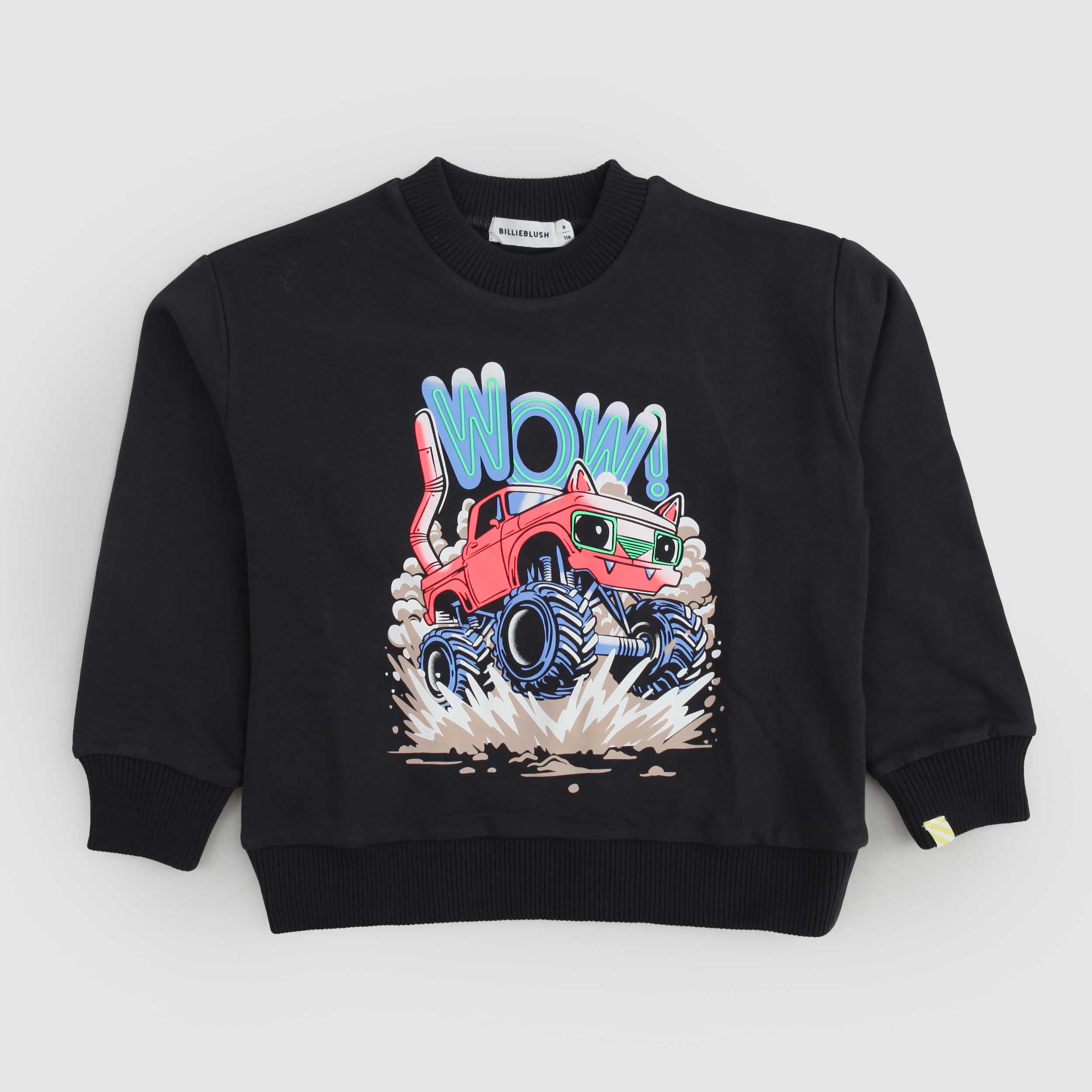 Felpa In Pile Blu Con Stampa Firmata BILLIEBLUSH - annameglio.com abbigliamento moda