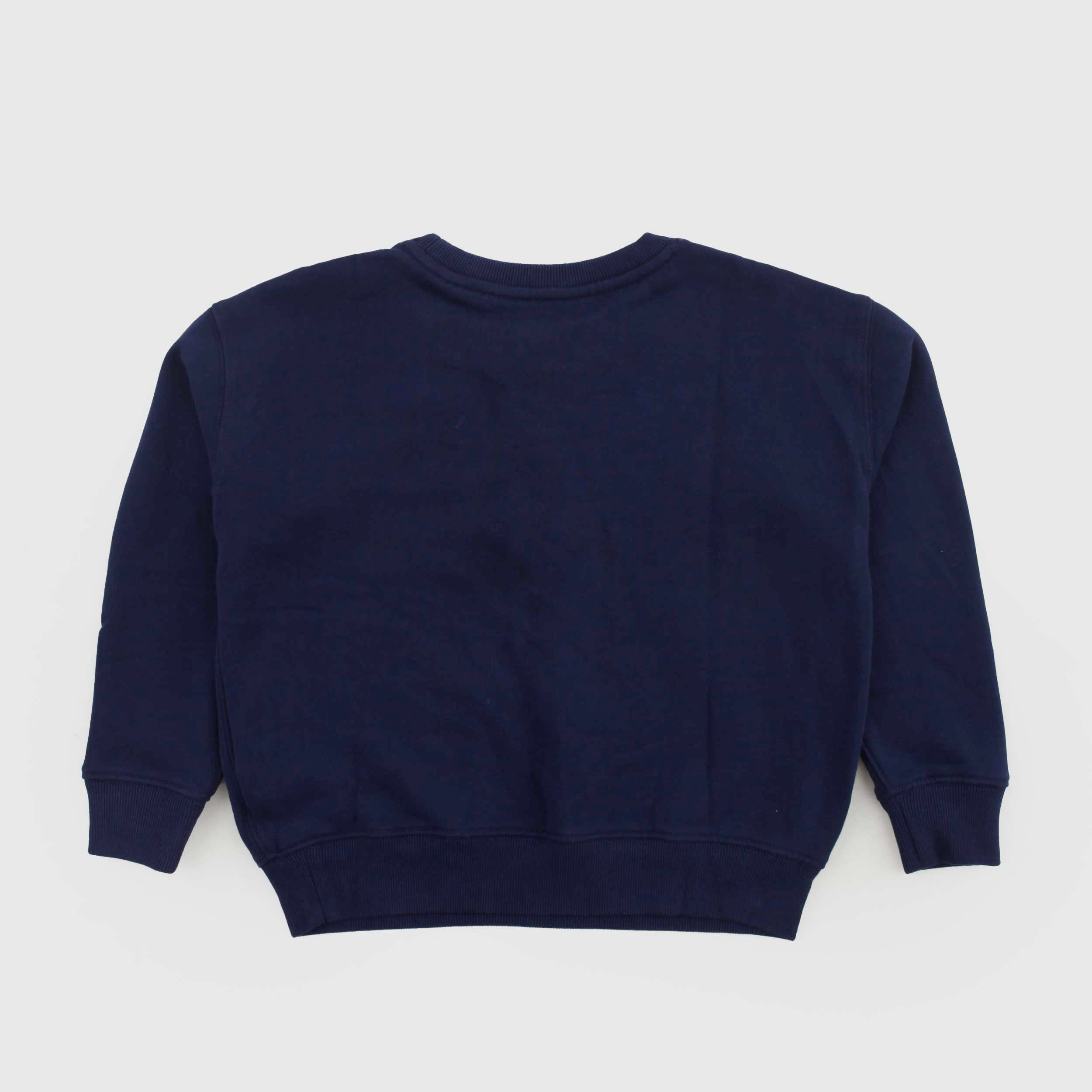 Felpa Blu Con Stampa Iconica Firmata RALPH LAUREN - annameglio.com abbigliamento moda