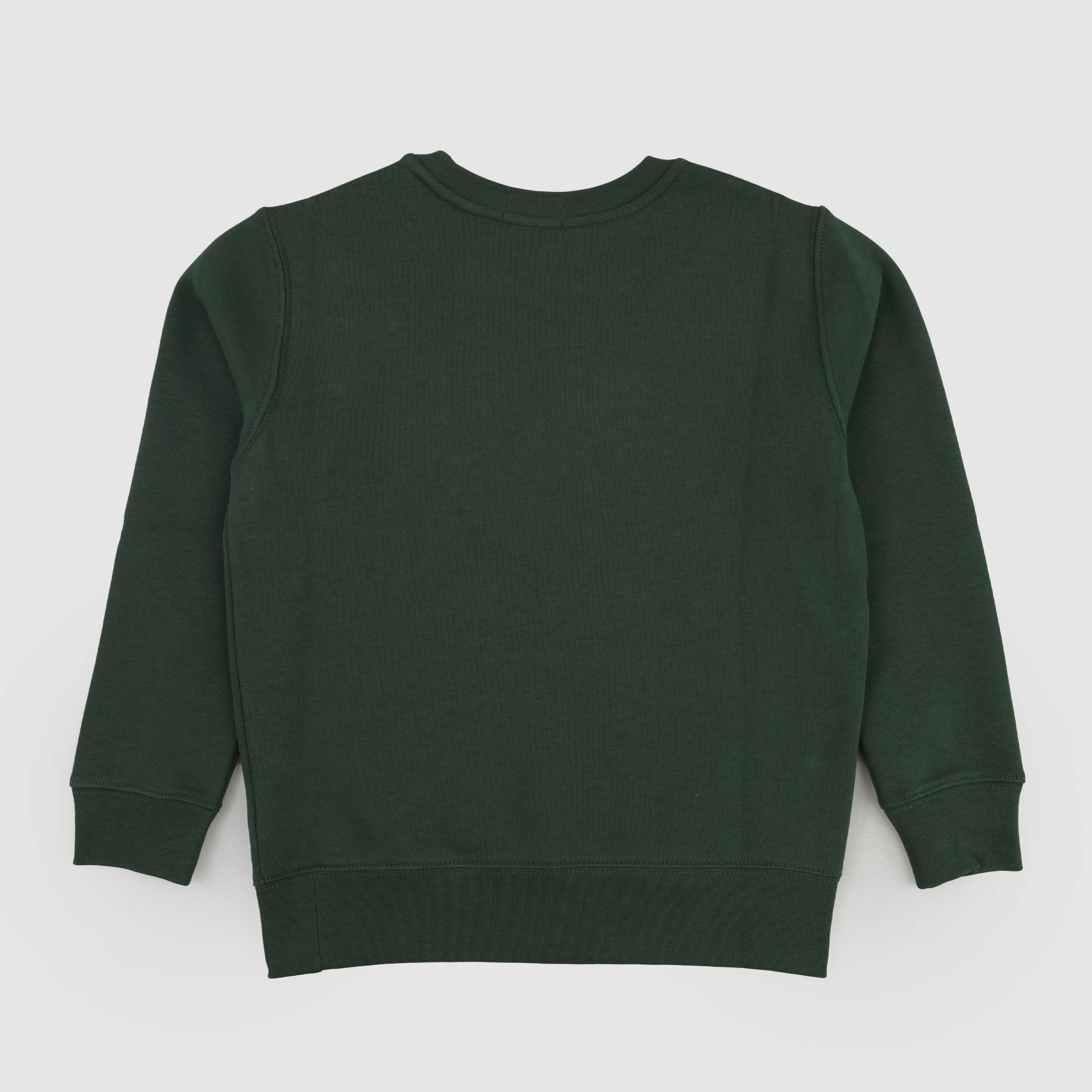 Felpa Verde E Stampa Iconica Firmata RALPH LAUREN - annameglio.com abbigliamento moda