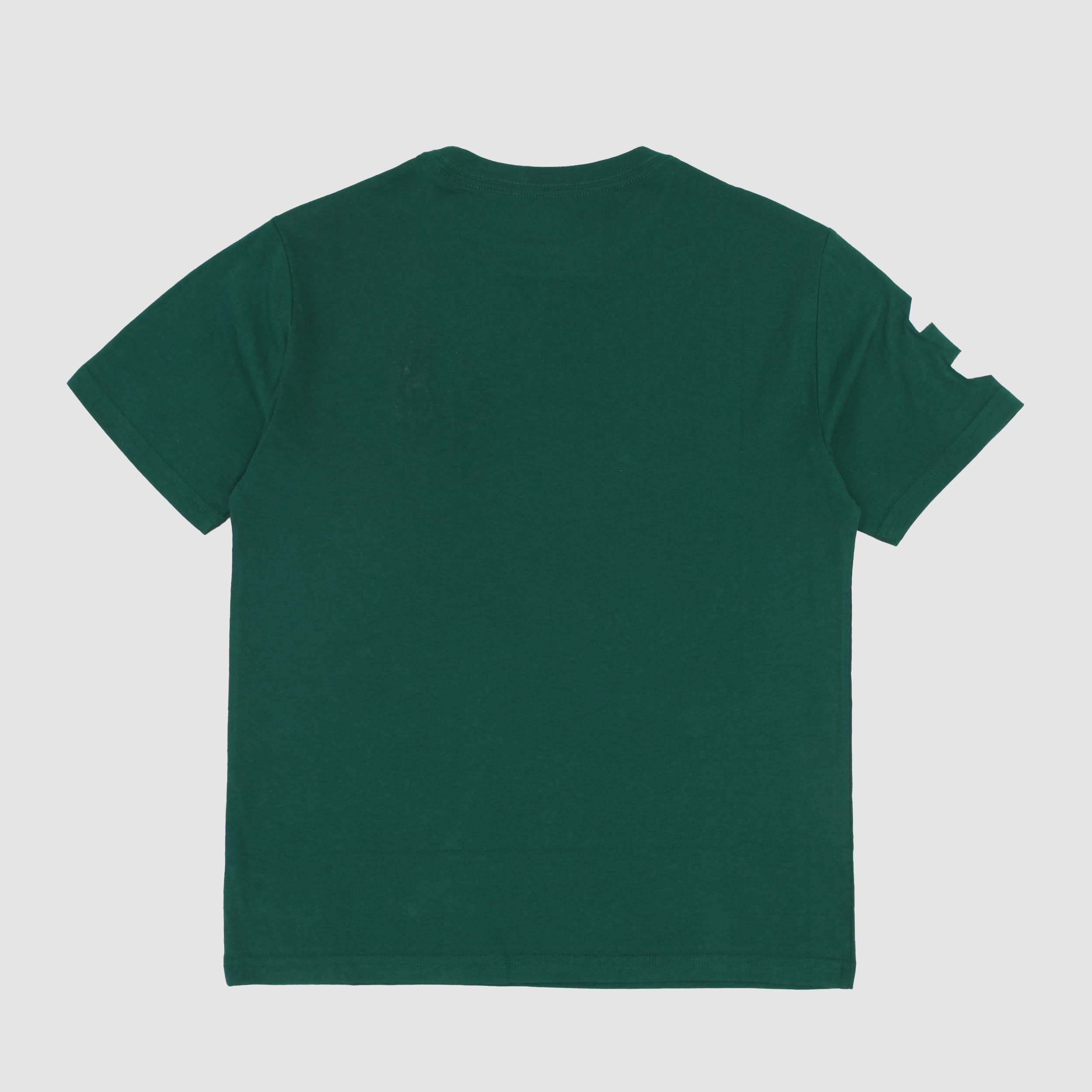T-shirt Verde Logo Bianco Firmata RALPH LAUREN - annameglio.com abbigliamento moda