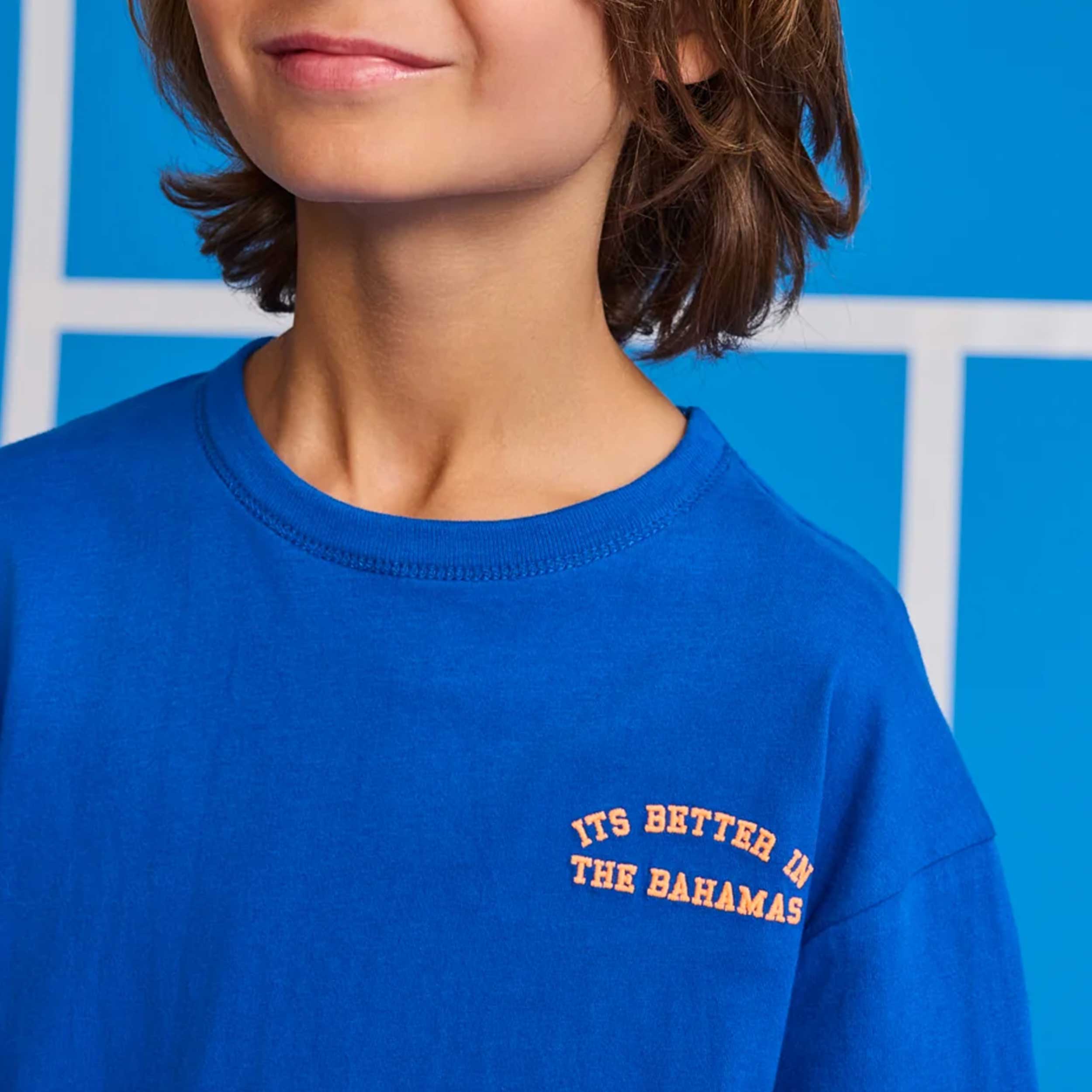 Blue T-shirt with contrasting logo by AMERICAN OUTFITTERS