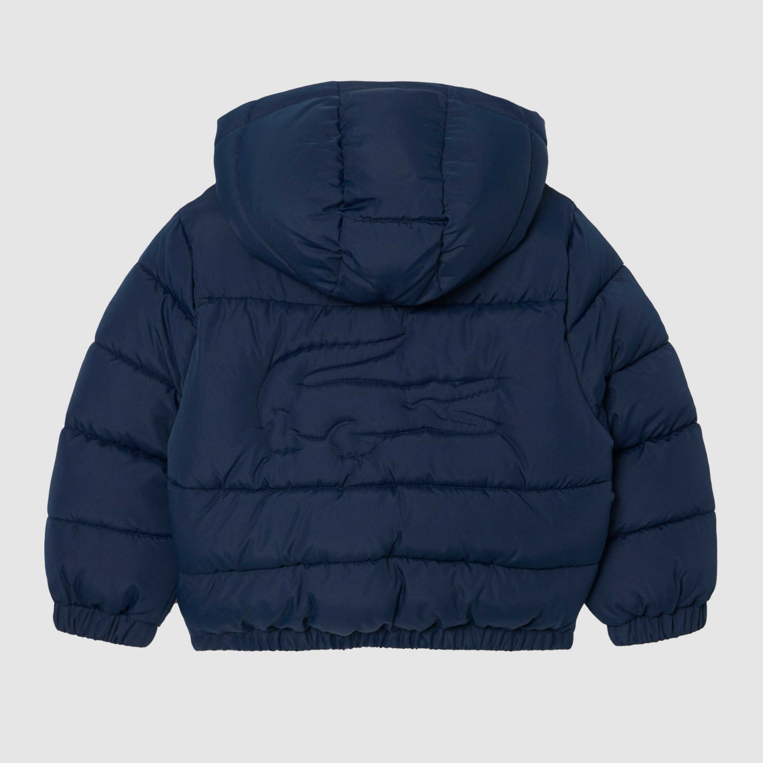 Giubbino Blu con Cappuccio per Bambino Firmato LACOSTE