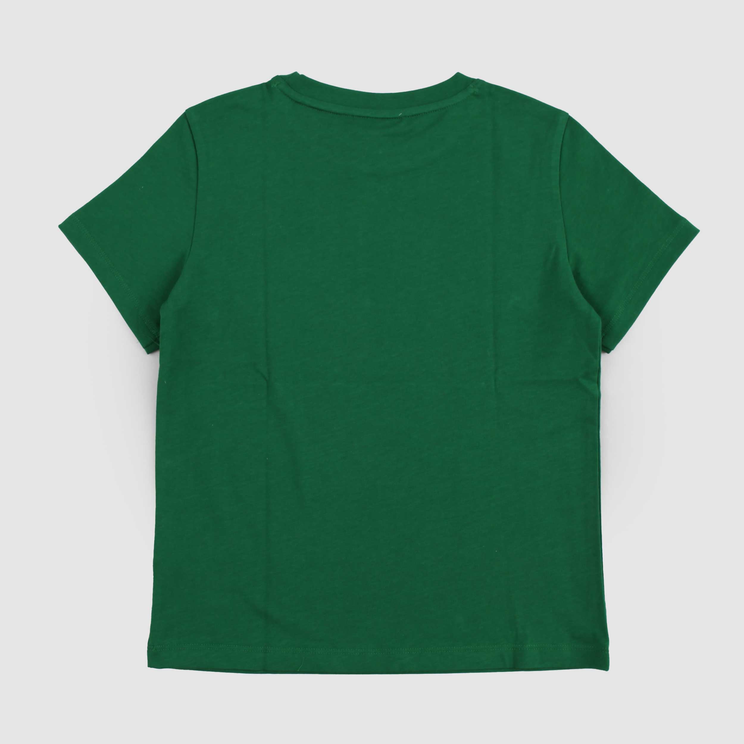T-shirt Verde con Stampa in Velluto per Ragazzo by LACOSTE