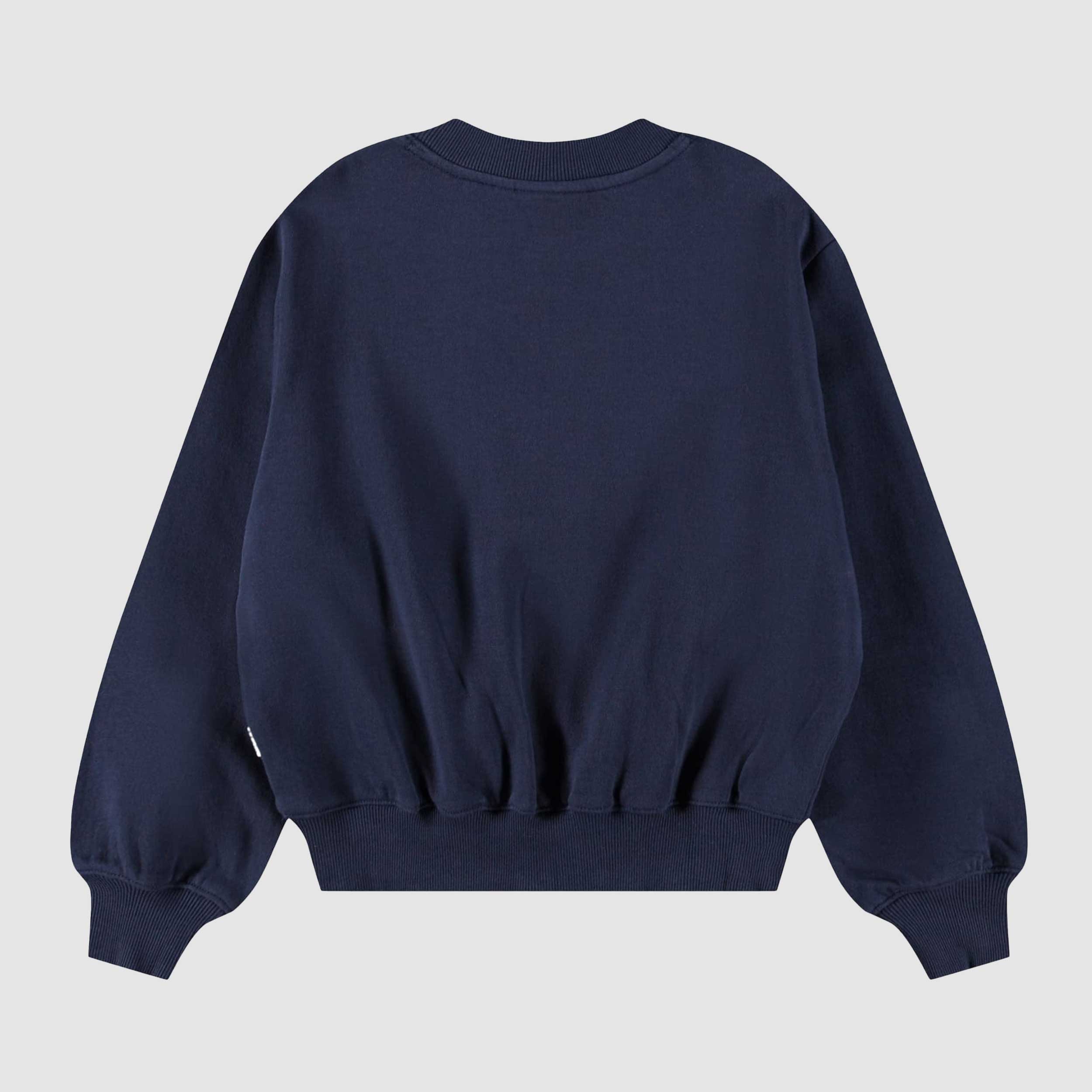 Blue Floral Embroidery Sweatshirt for Girl by MOLO