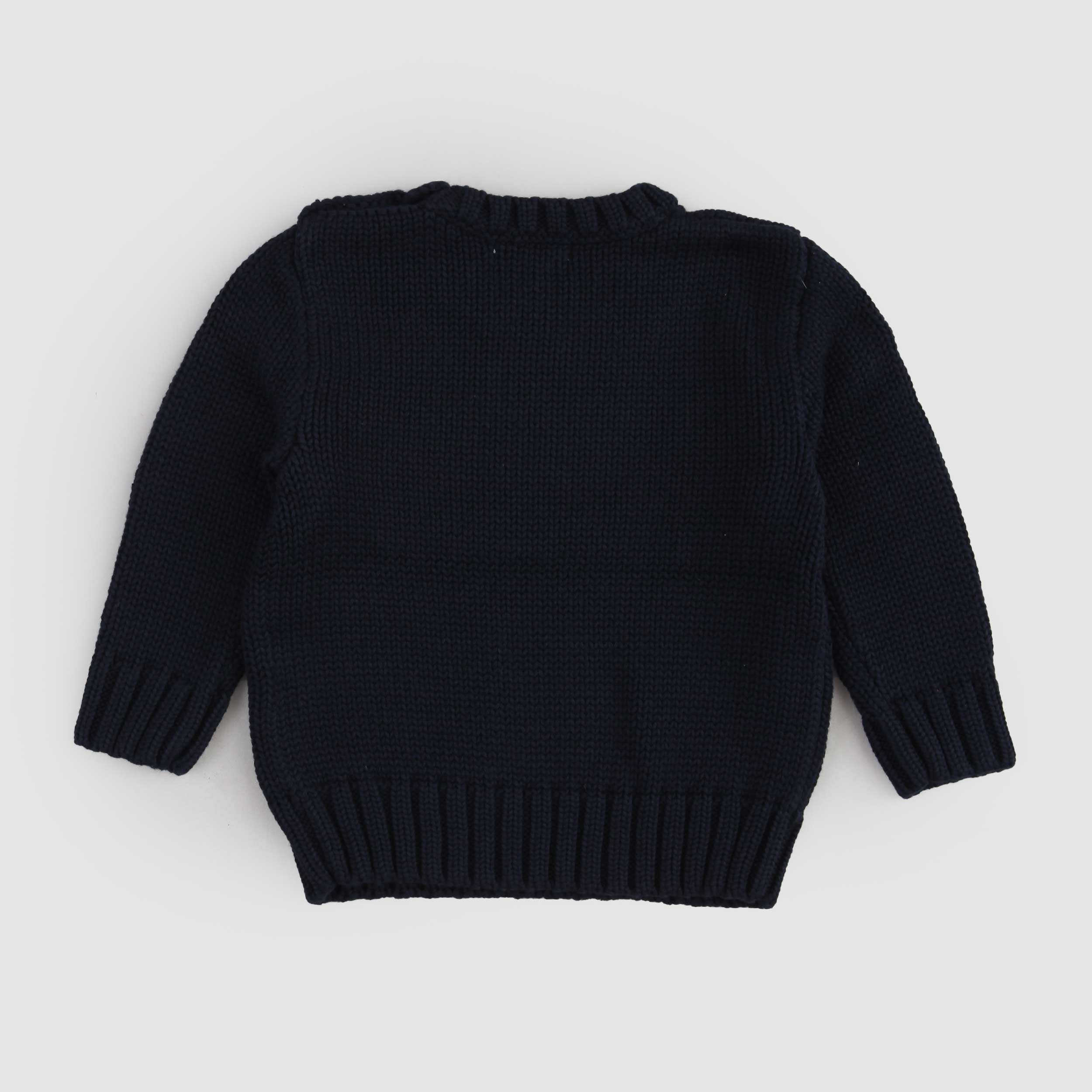 Blue T-Shirt with Flag Embroidery for Newborns by RALPH LAUREN