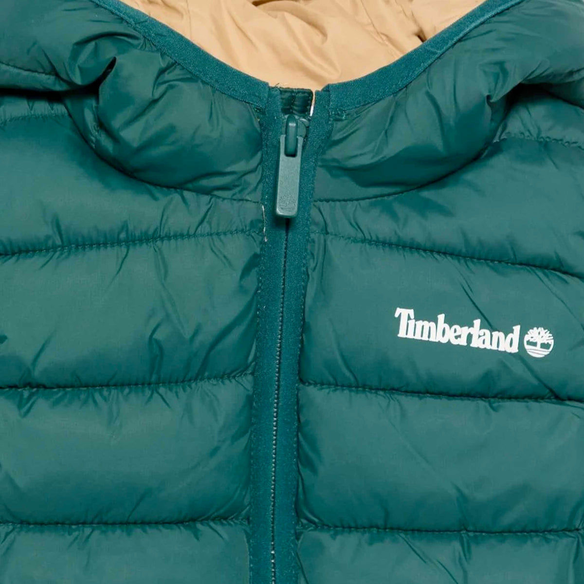 Smanicato Verde con Stampa Logo per Ragazzi TIMBERLAND